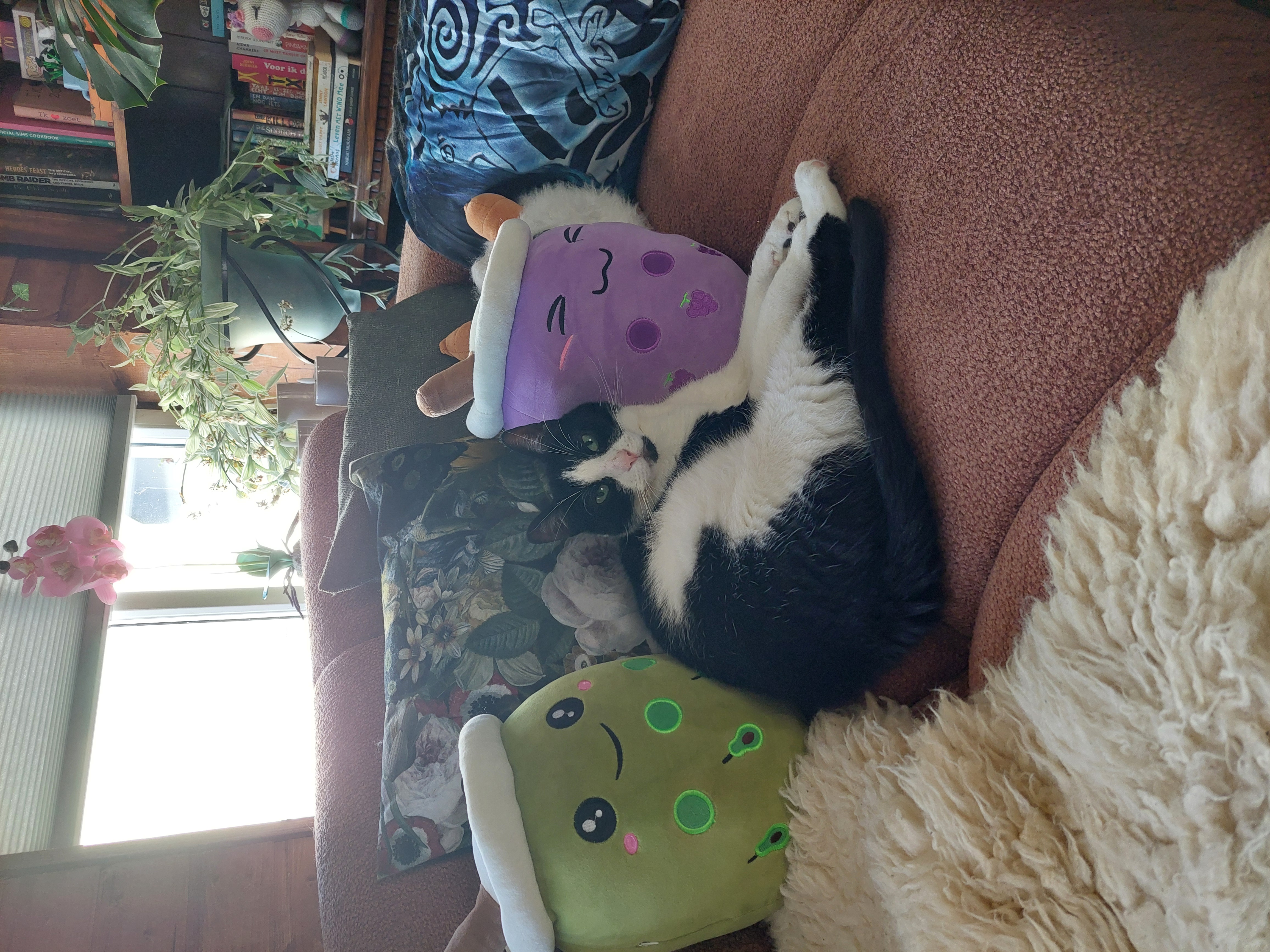 image-8