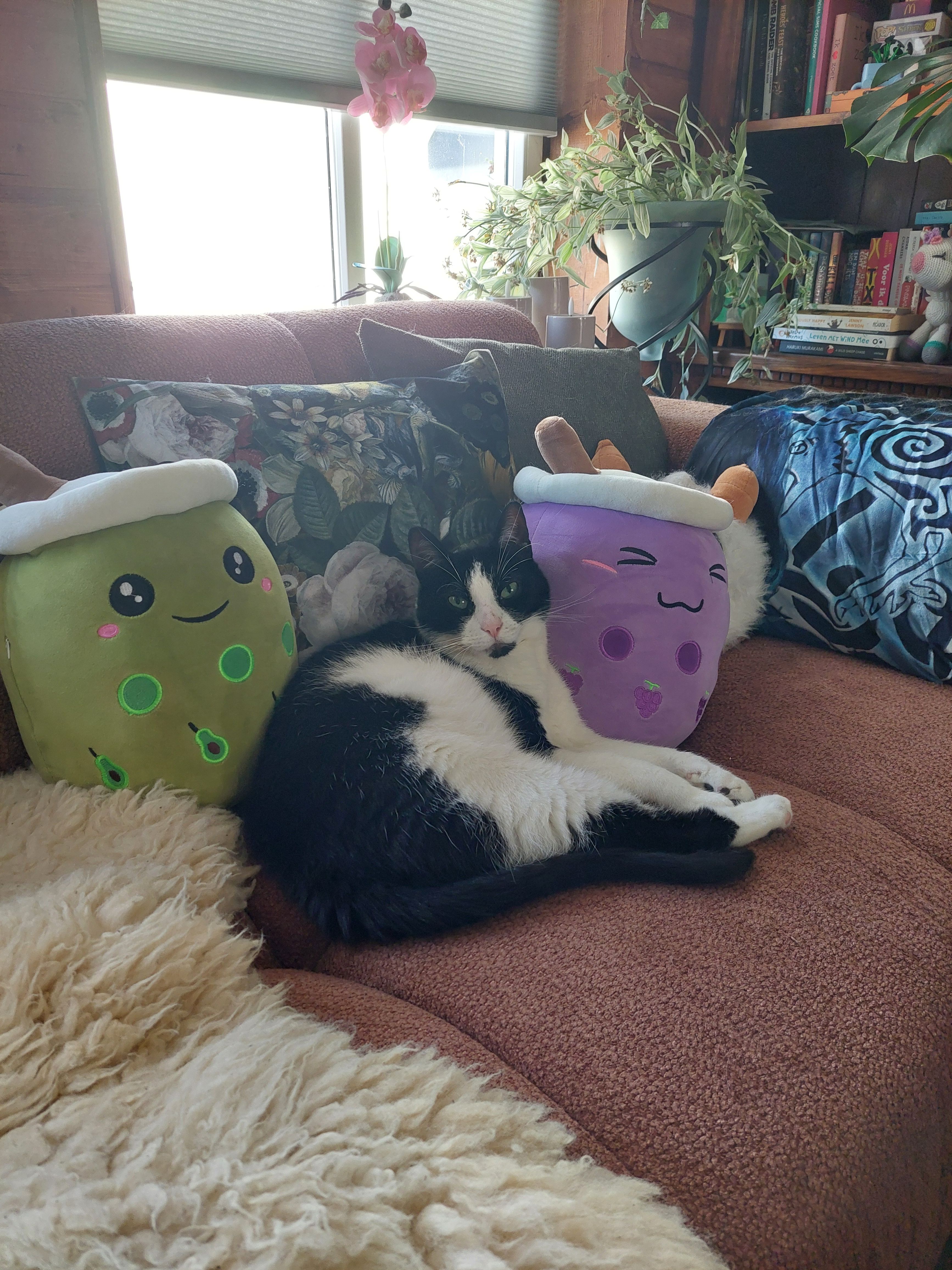 image-8