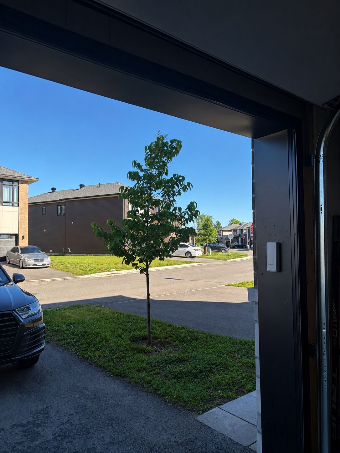 image-14
