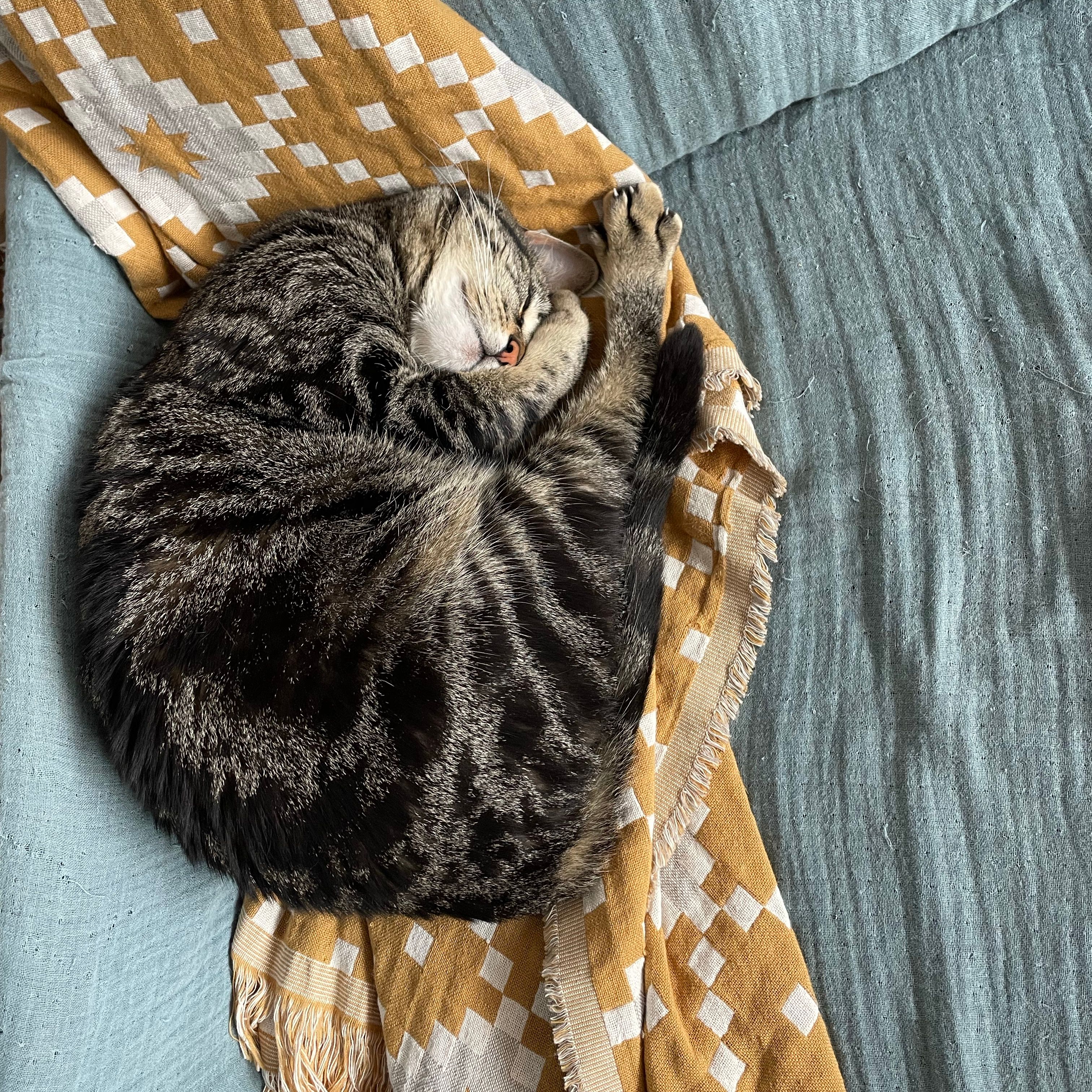 Kili