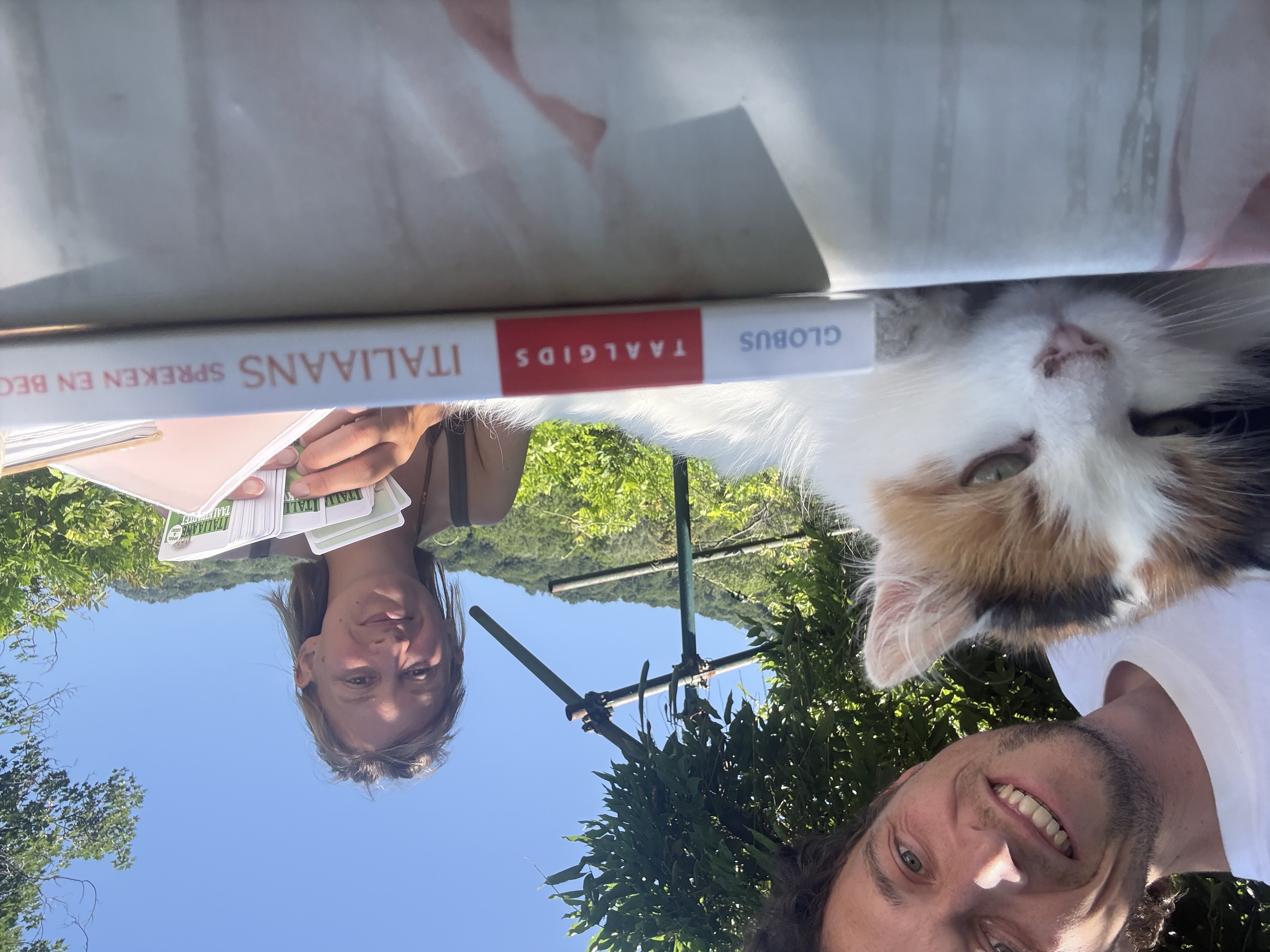 image-5