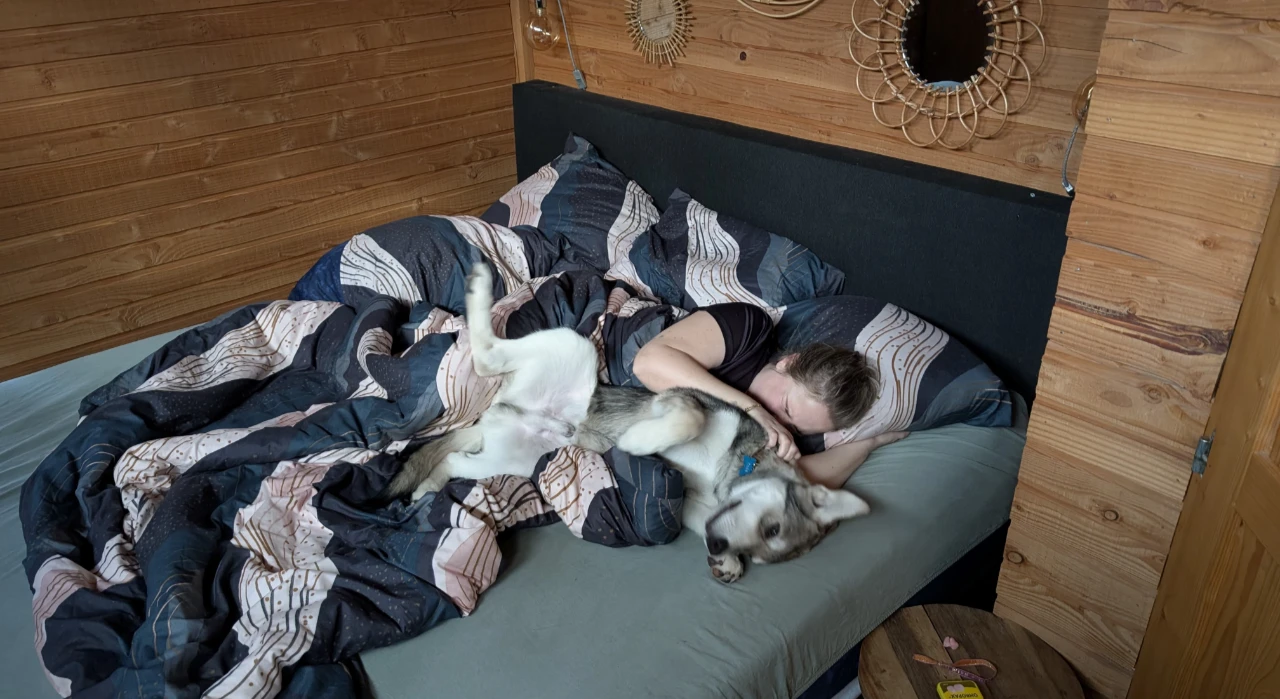 image-6