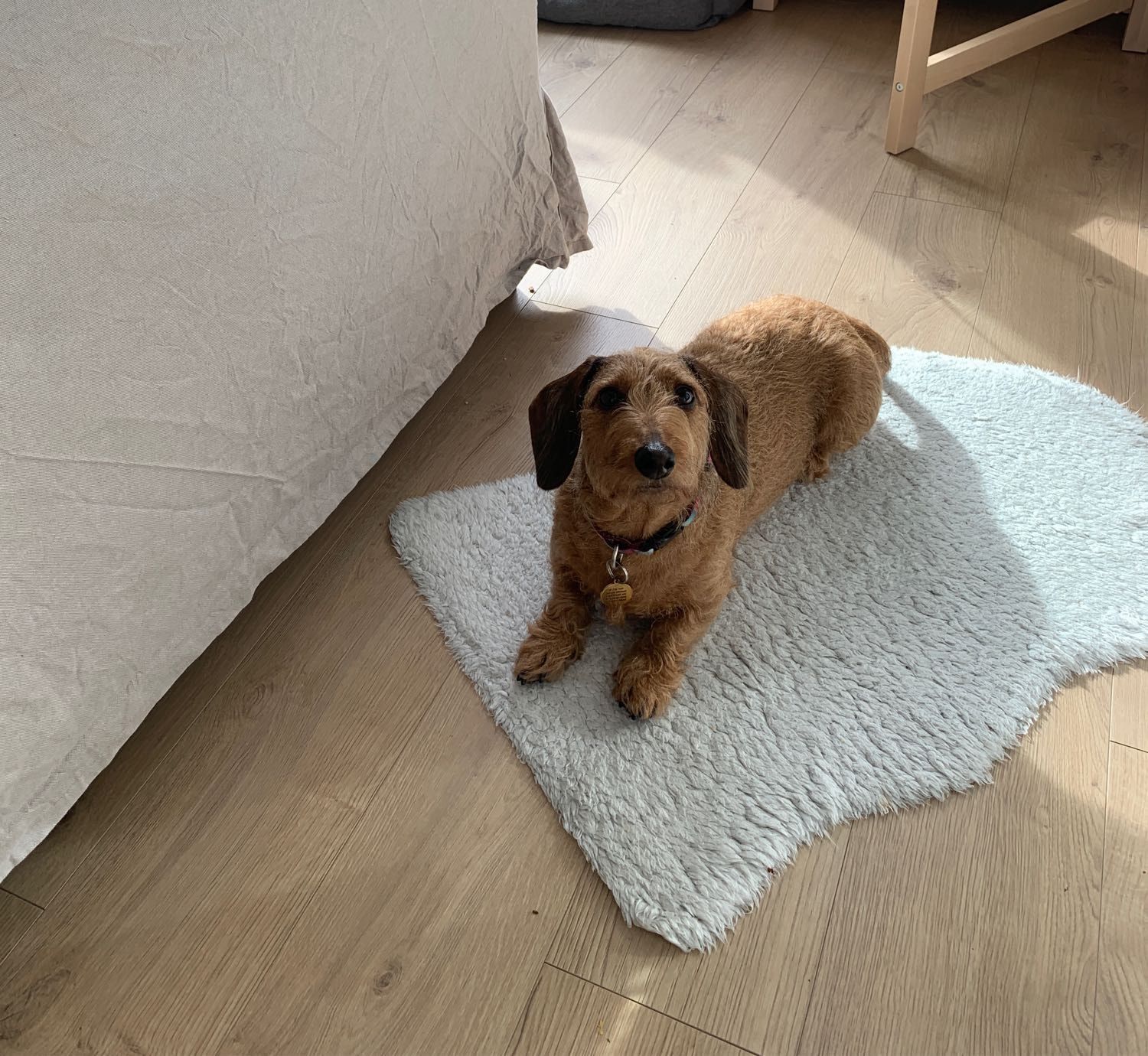 image-20