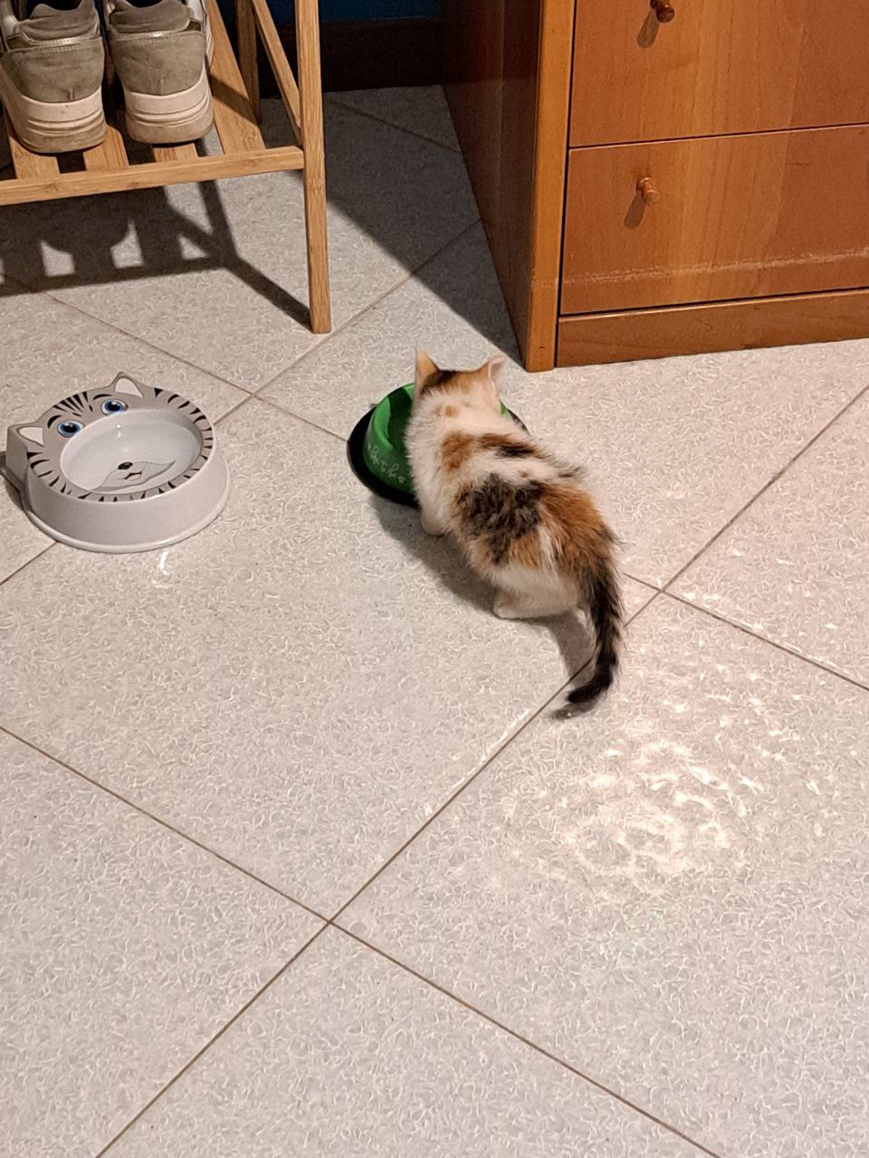 image-12