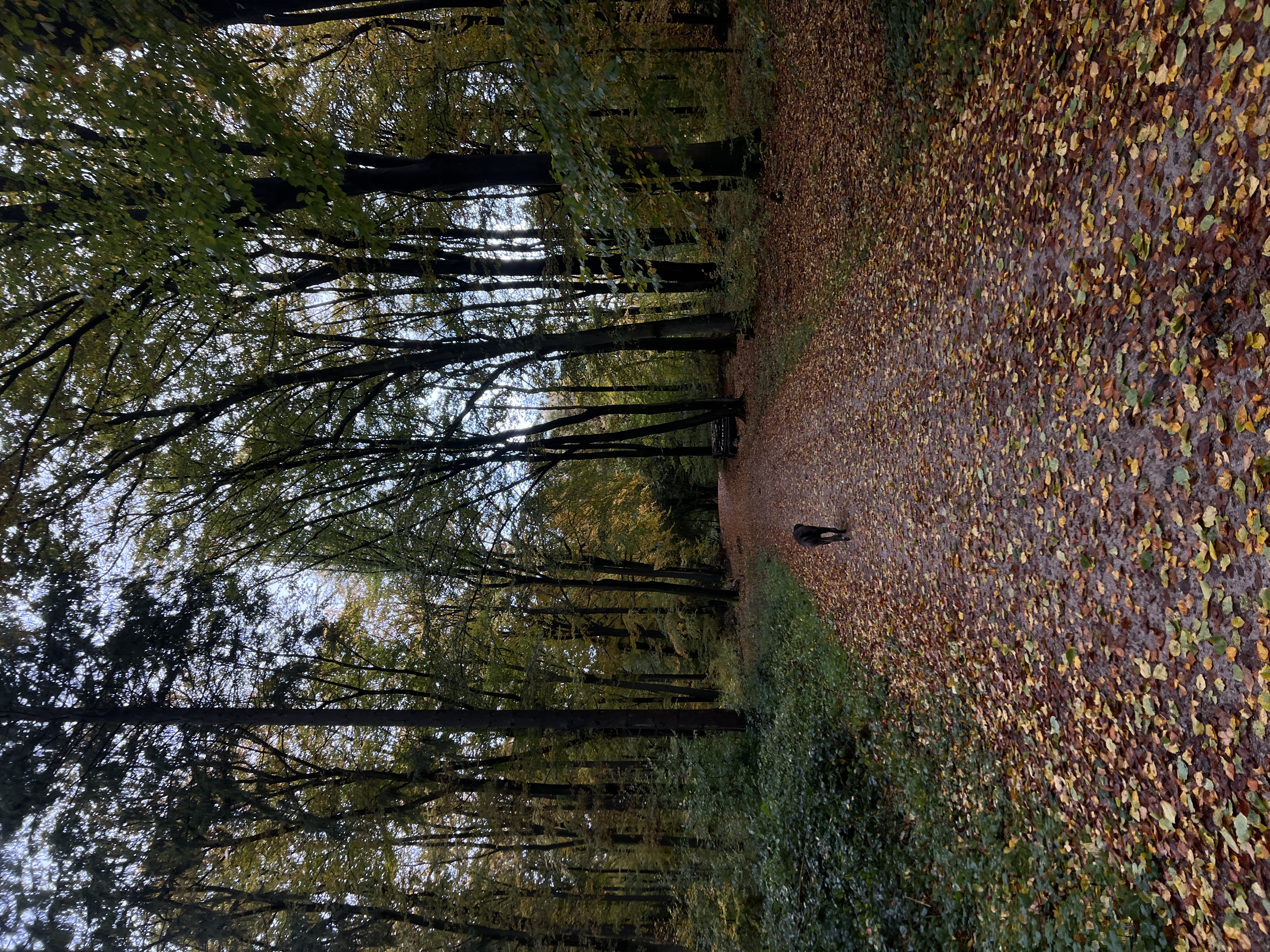 image-8