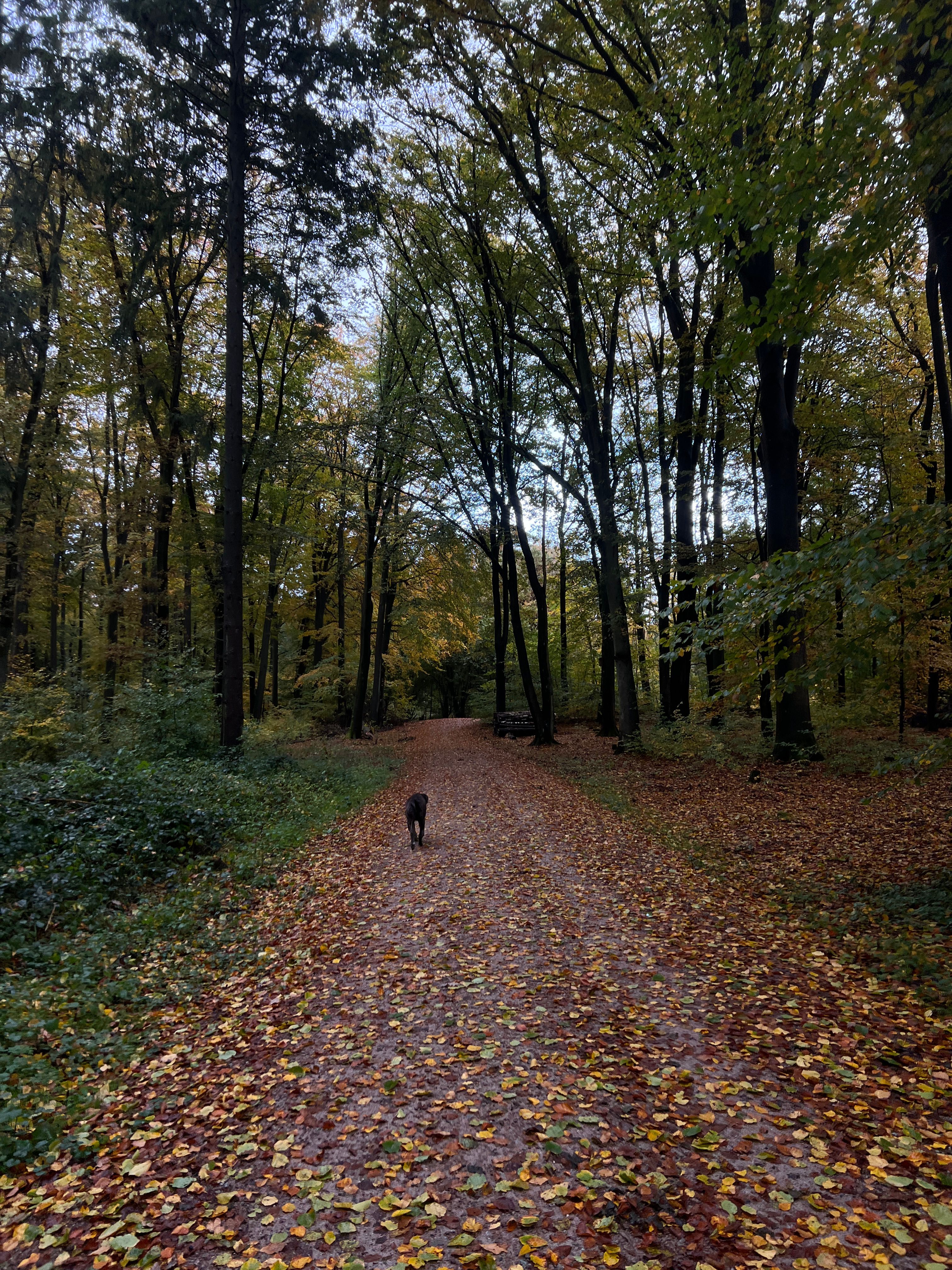image-8
