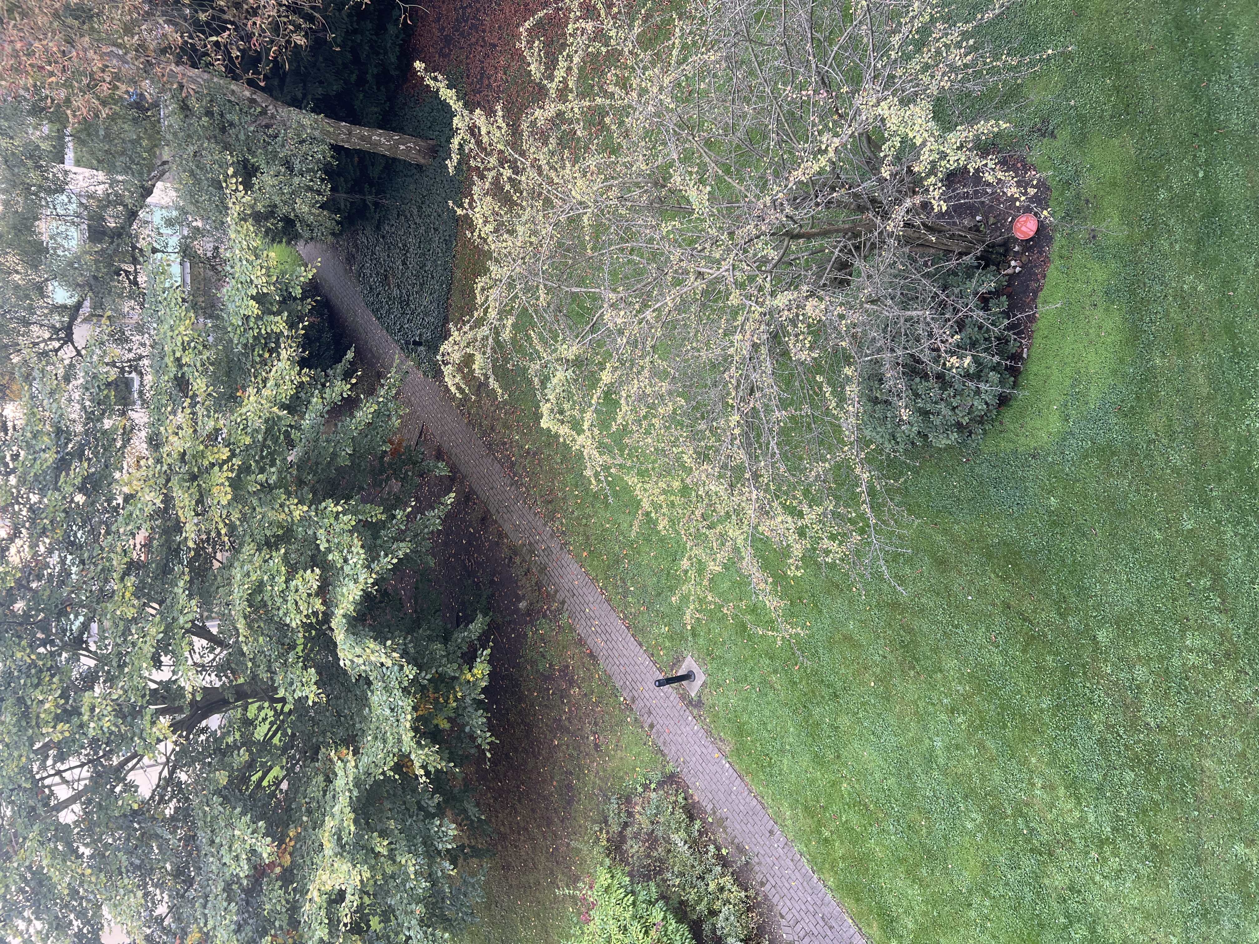 image-12