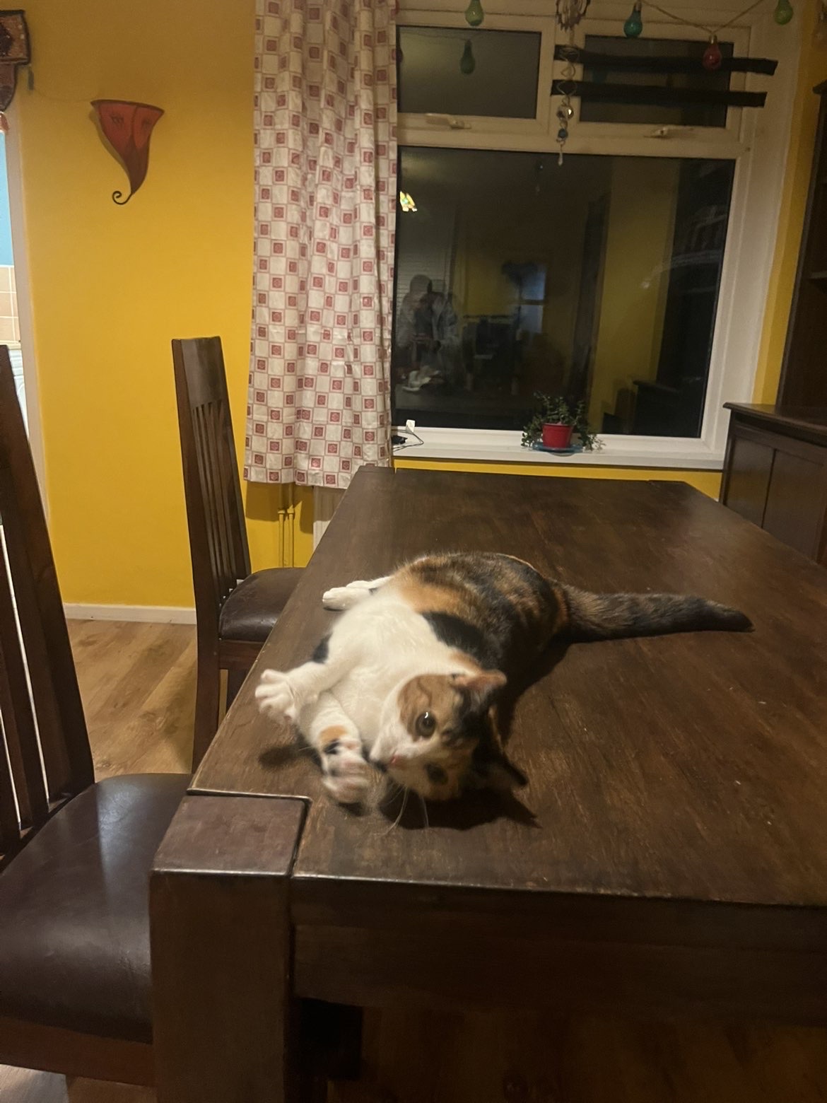 image-6