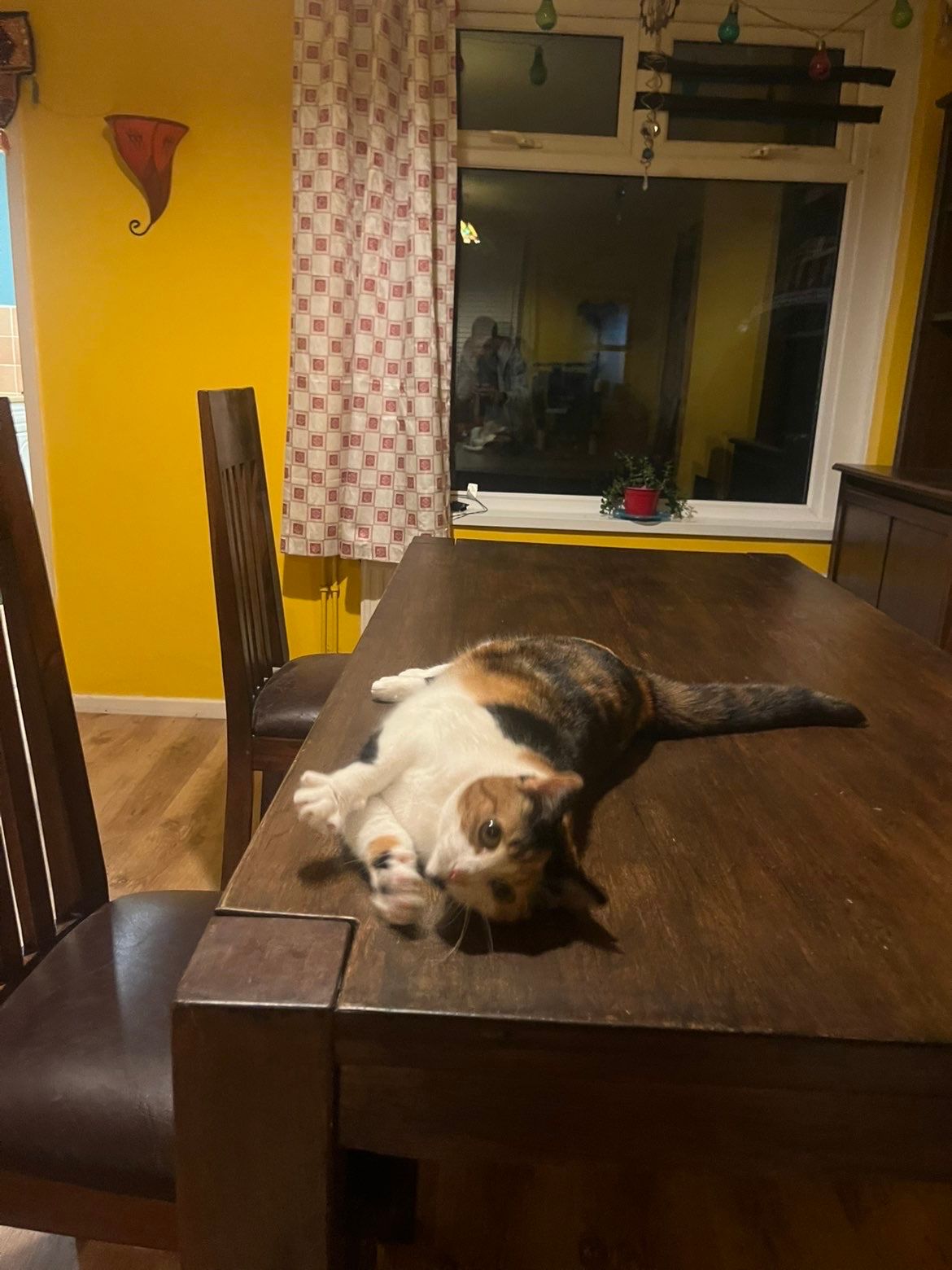 image-6