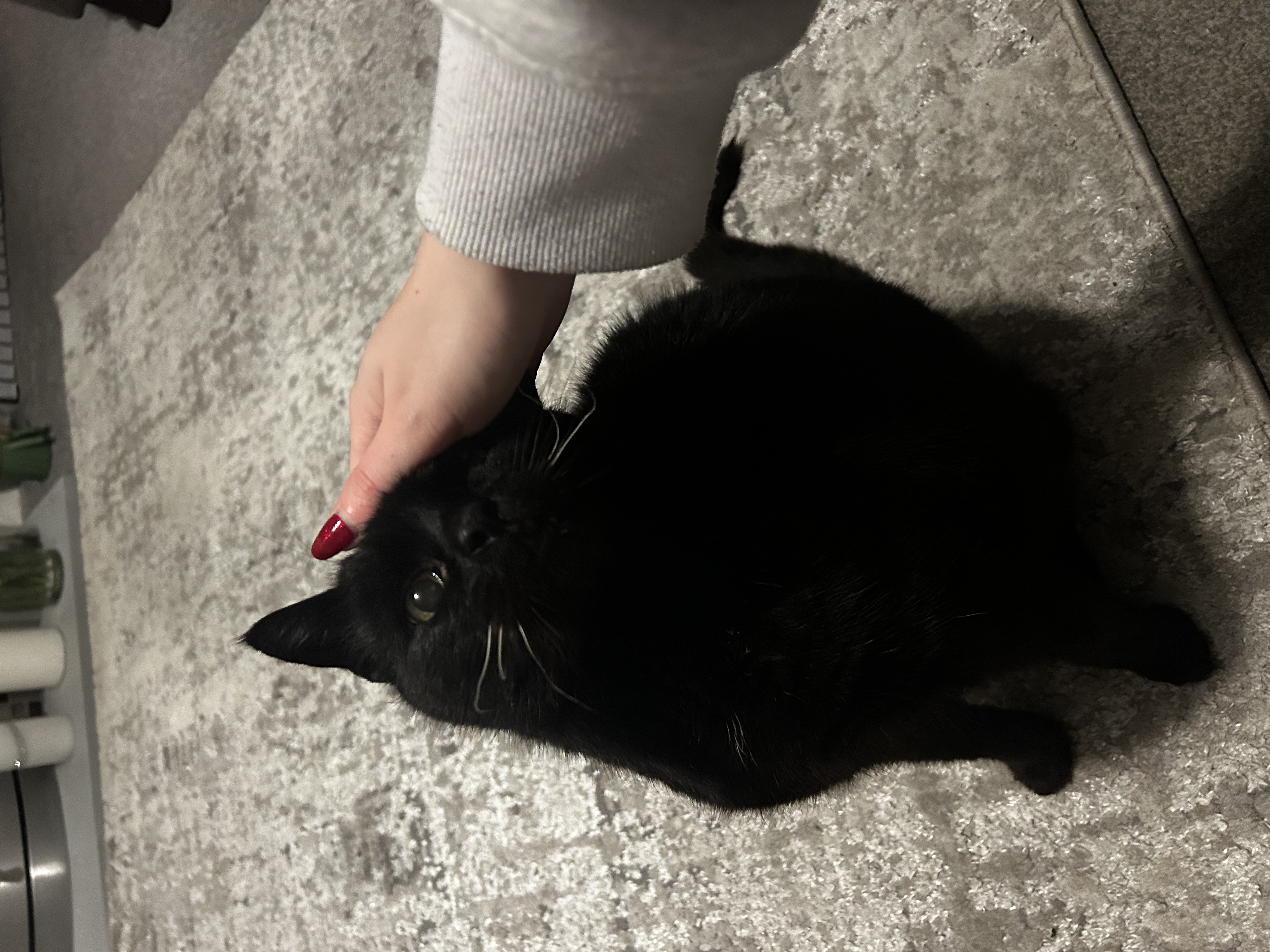 image-8