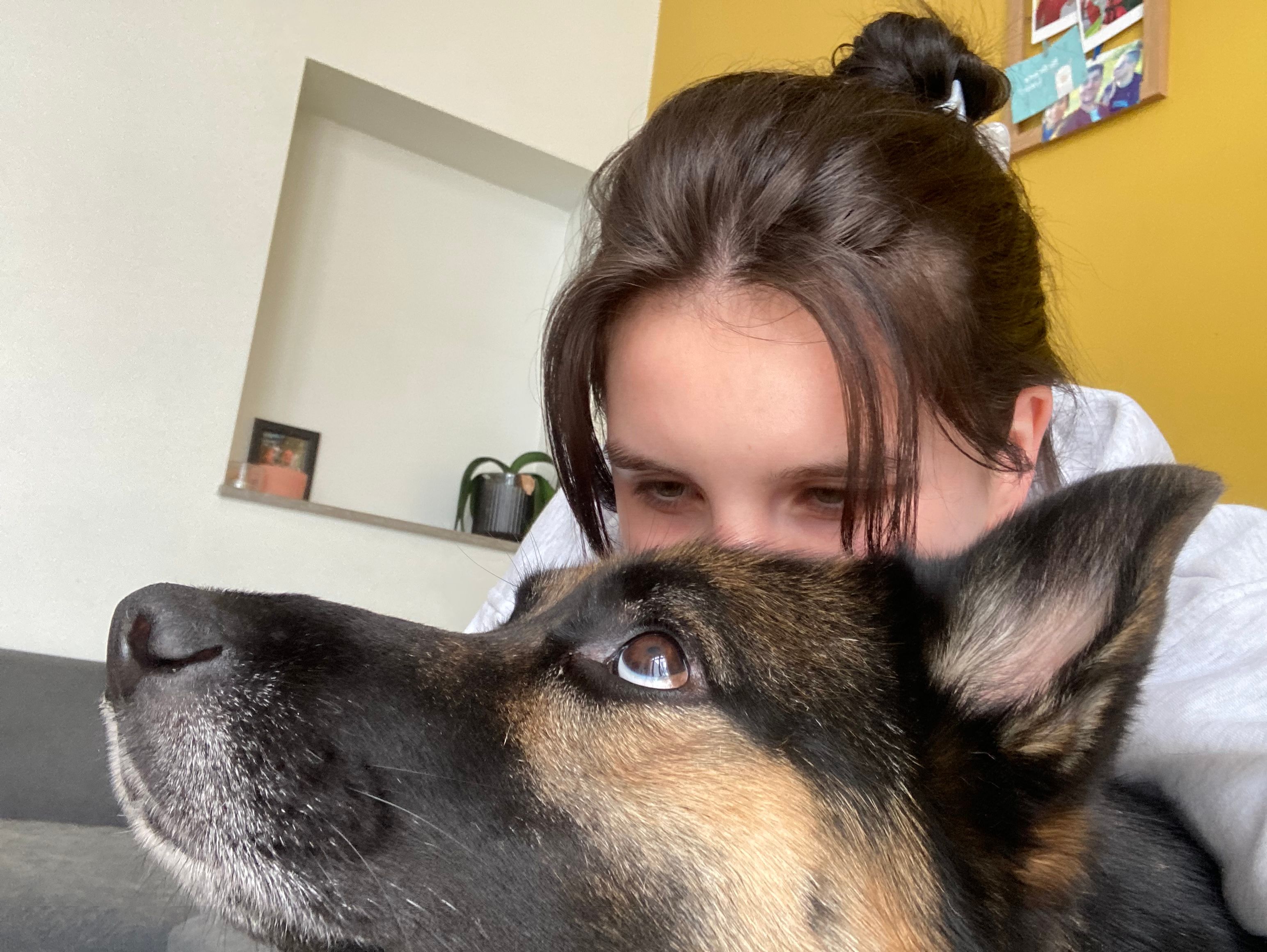 image-8