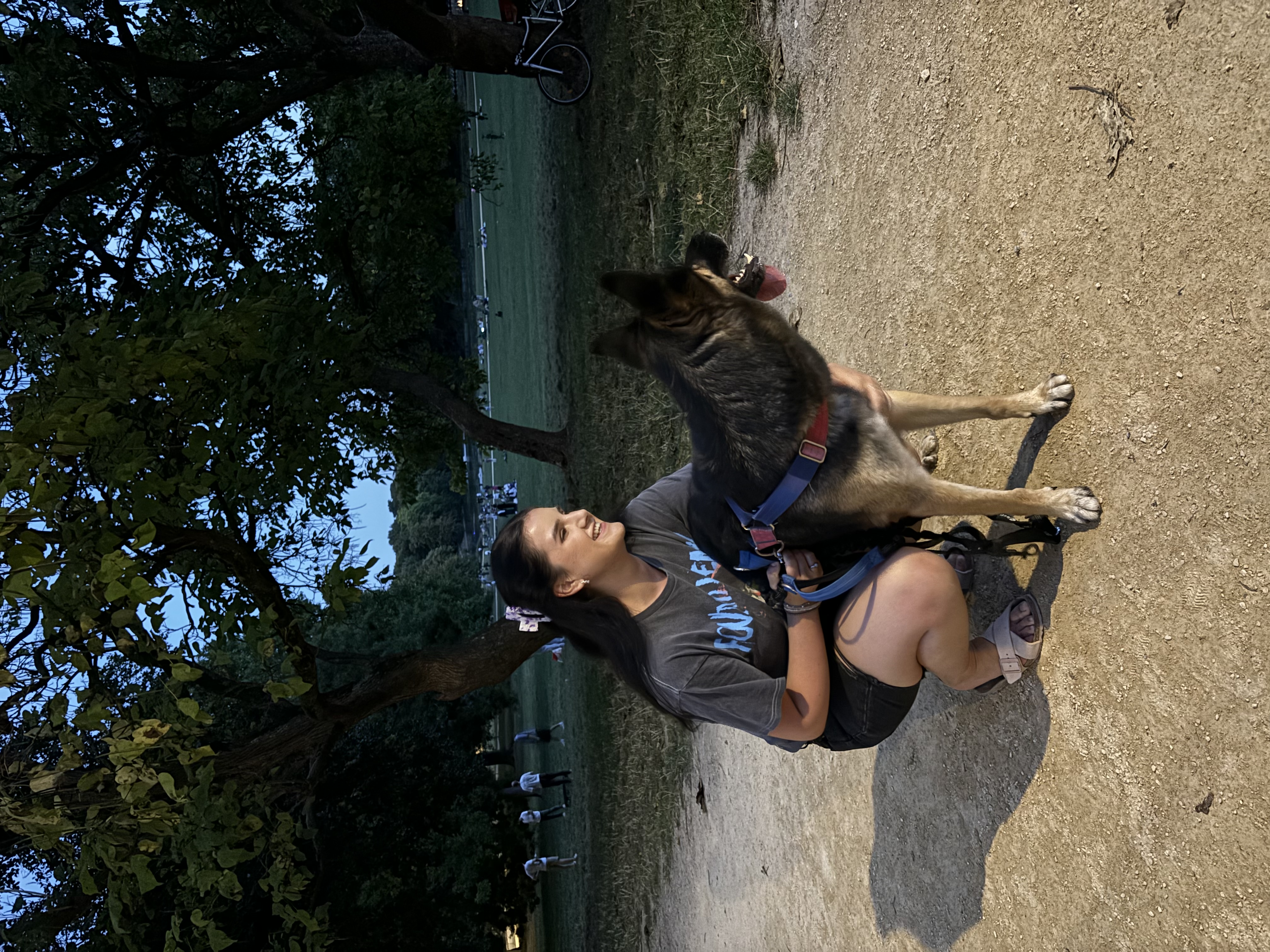 image-9