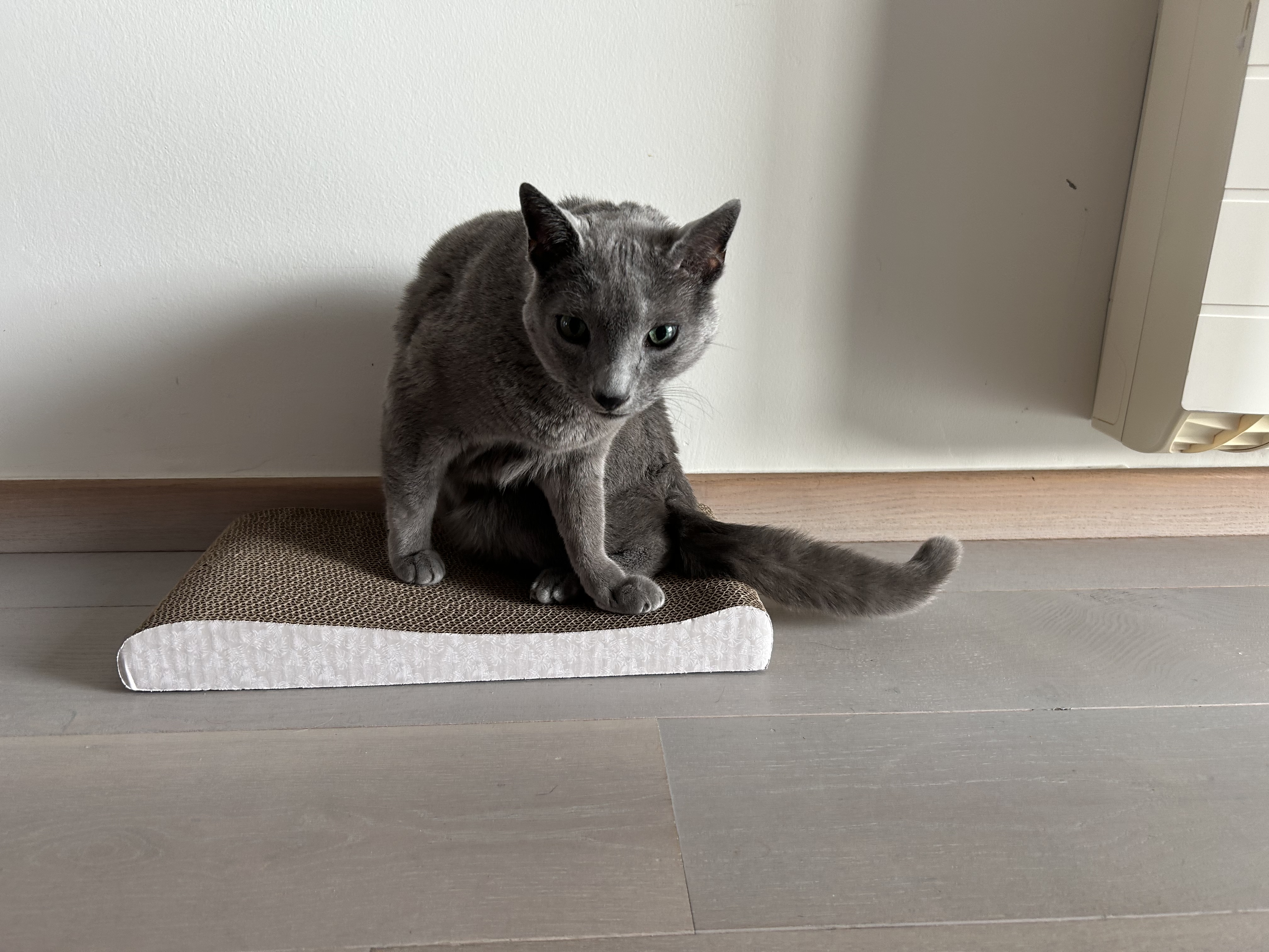 image-10