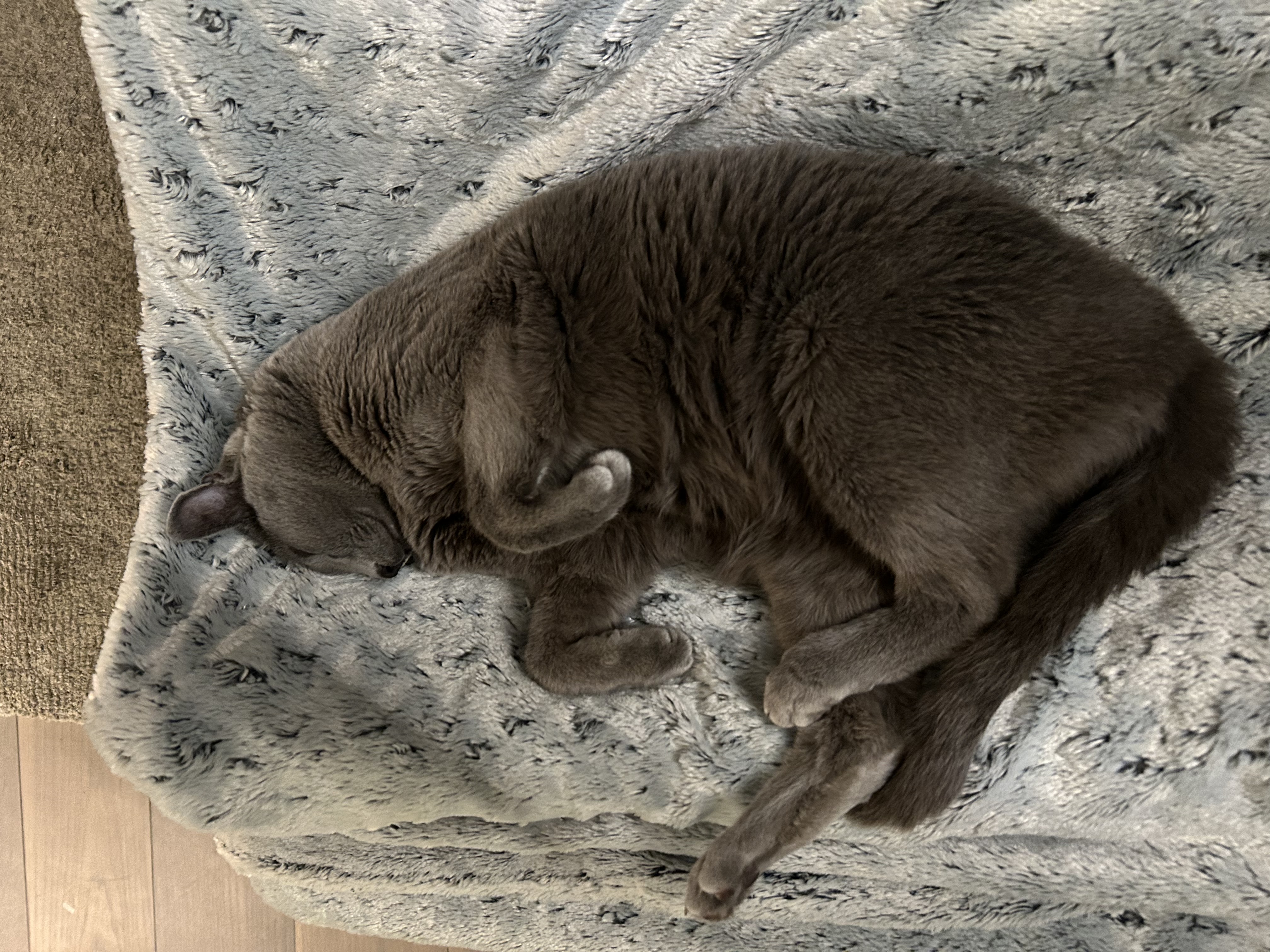 image-11