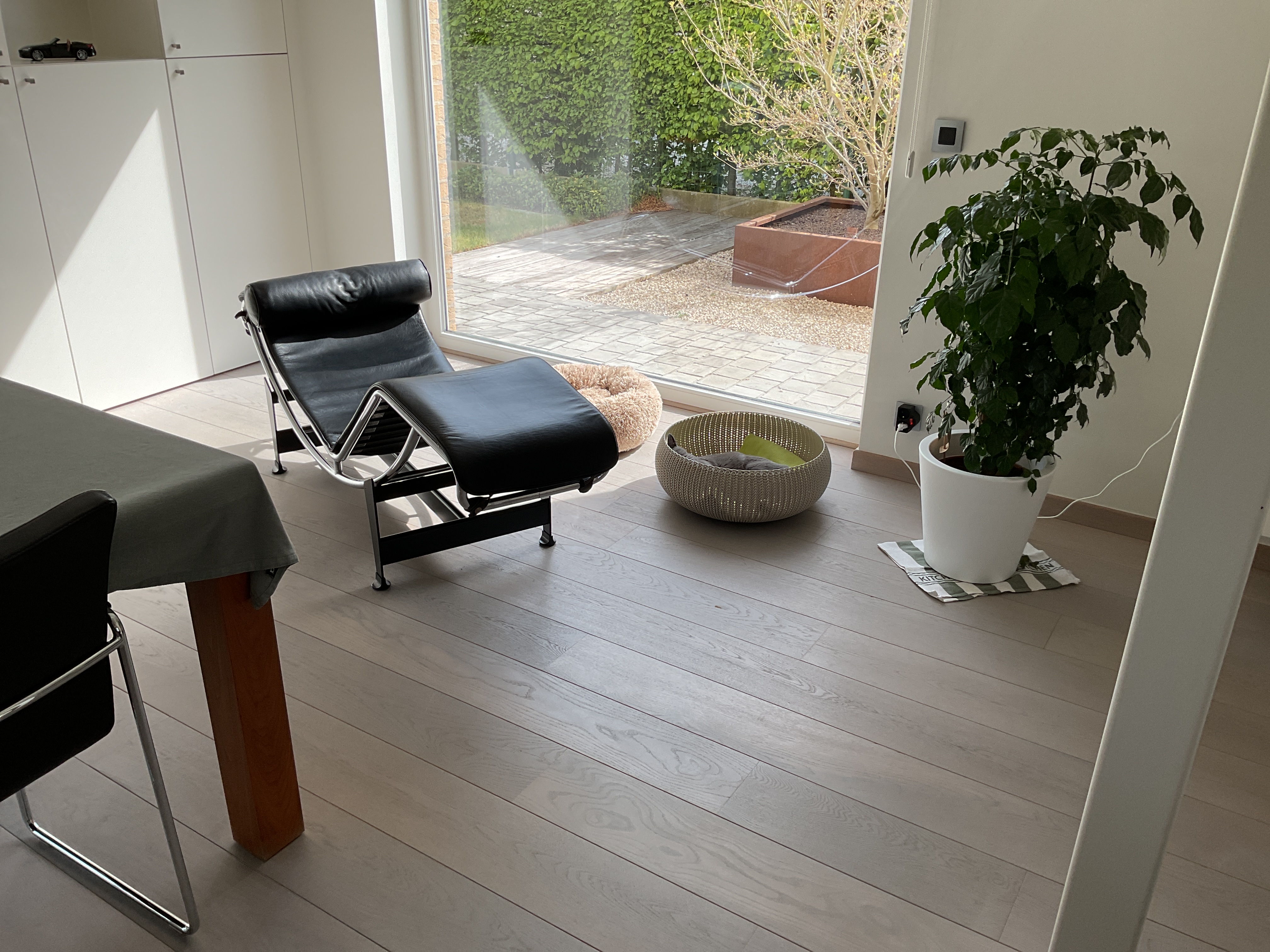 image-17