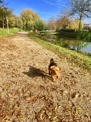 image-3