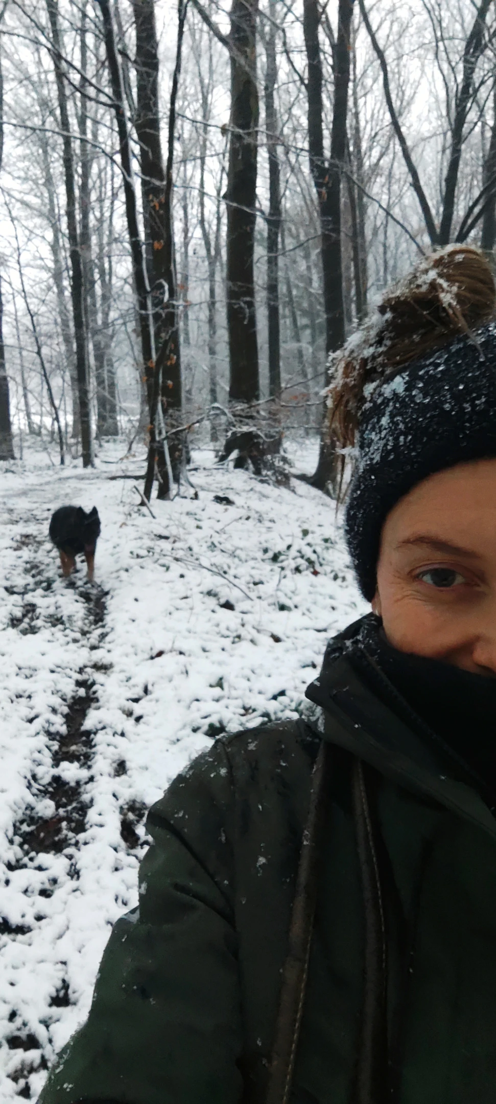 image-7