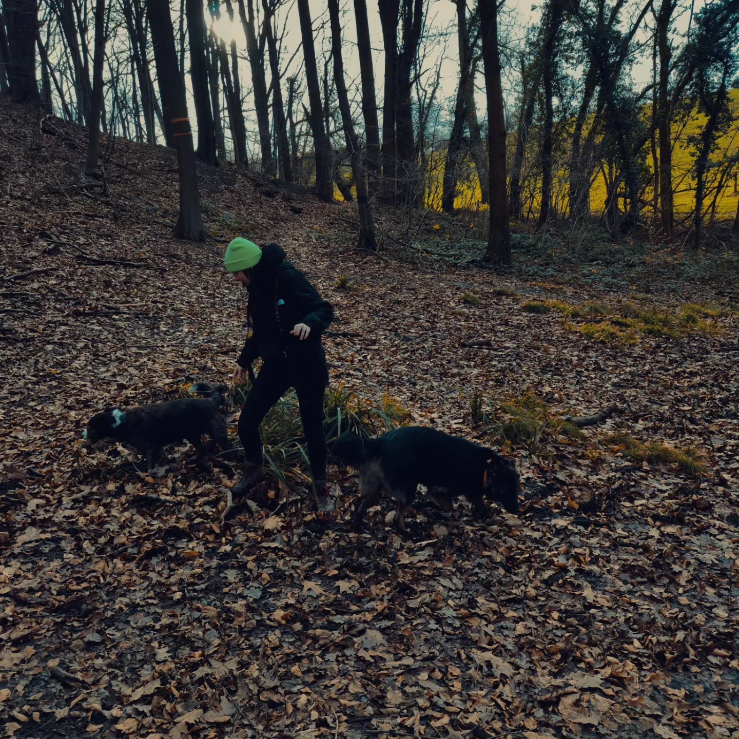 image-9