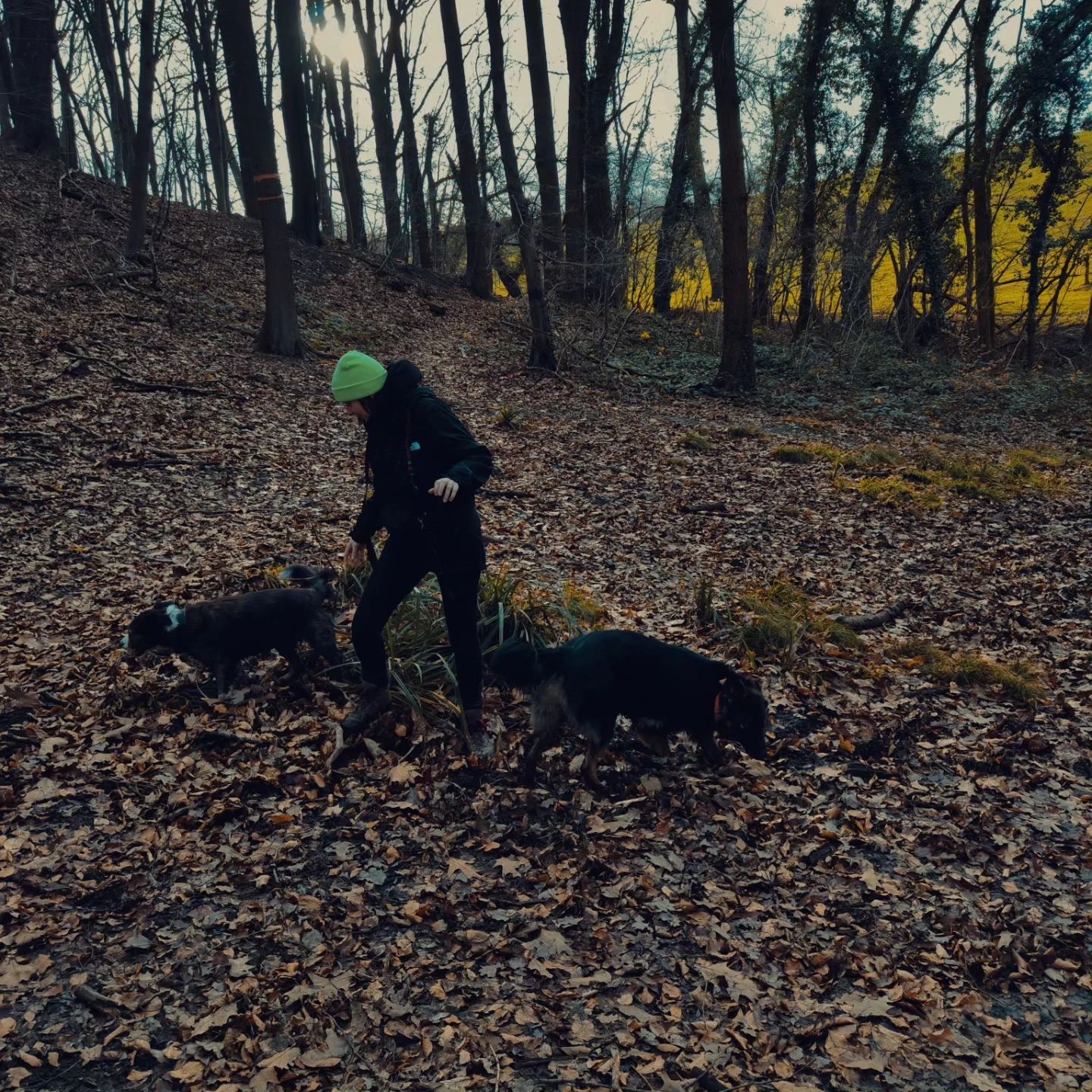 image-9