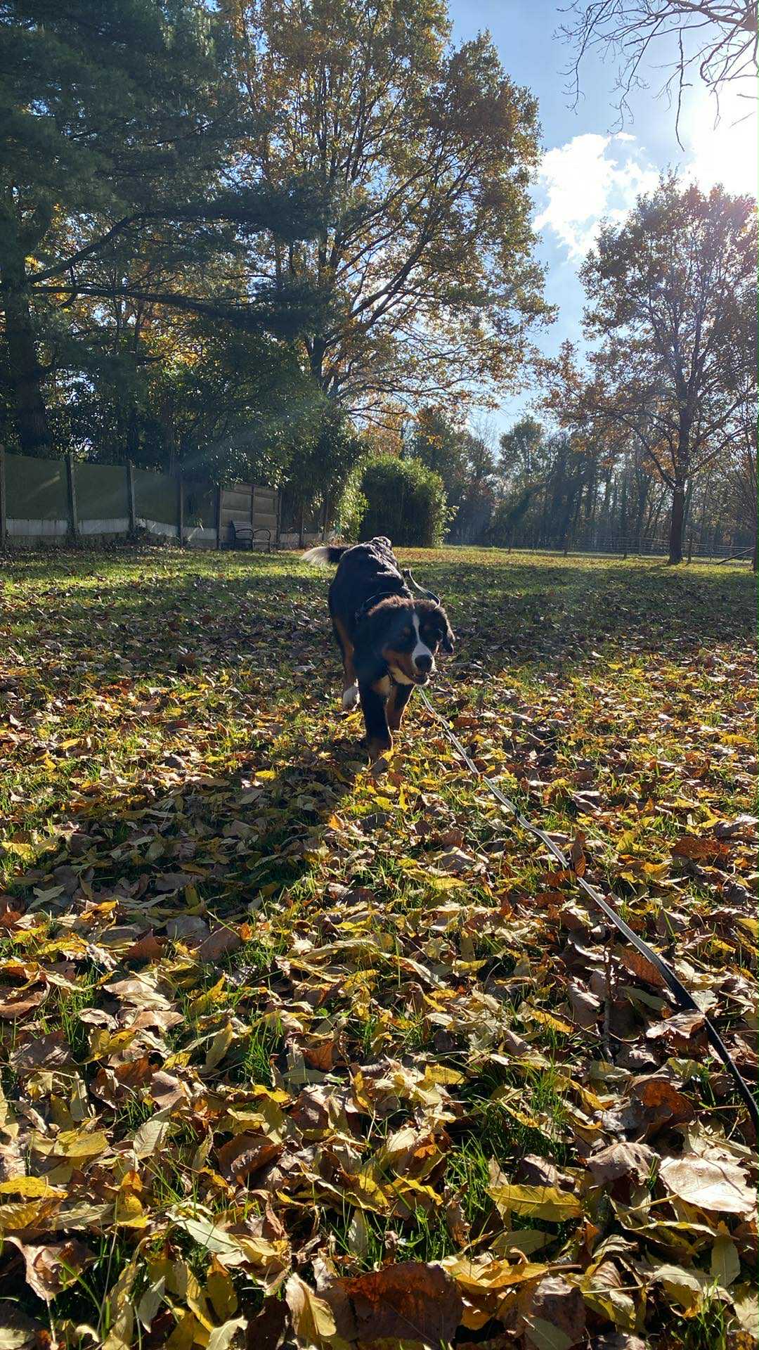 image-14