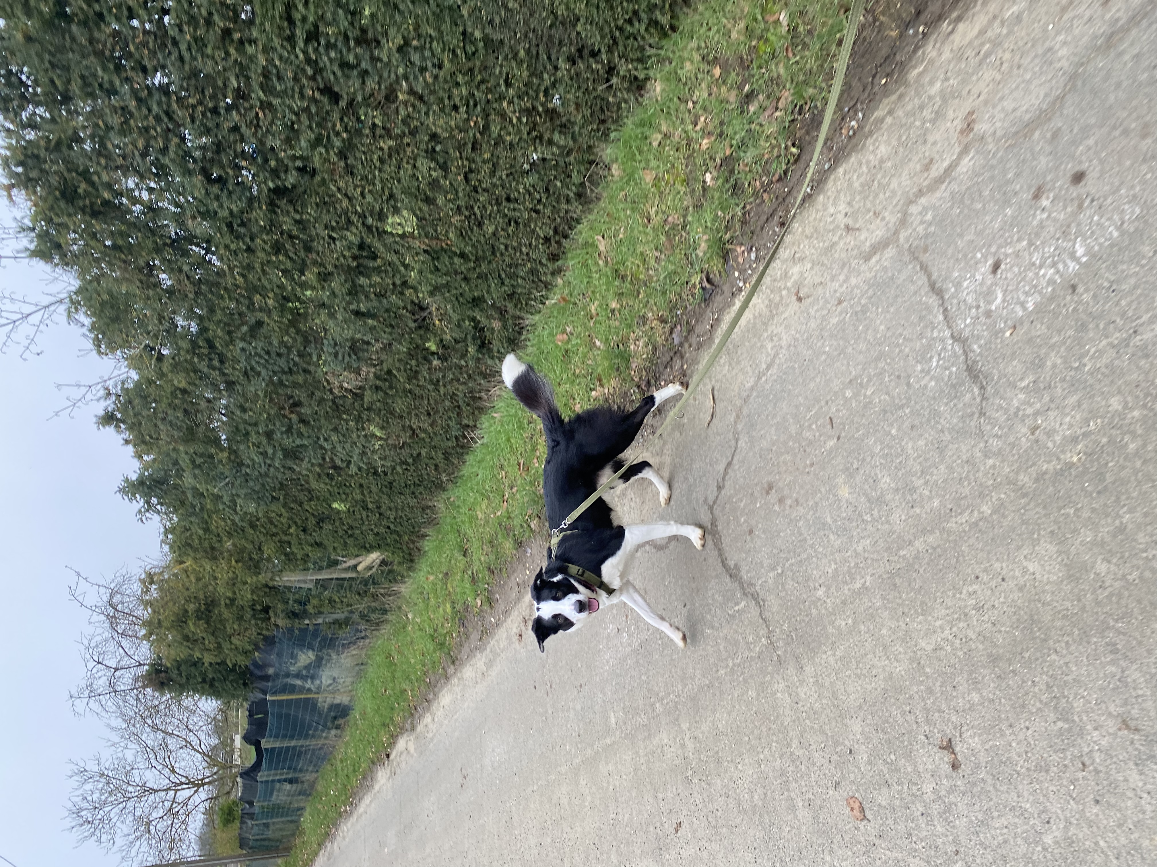 image-6