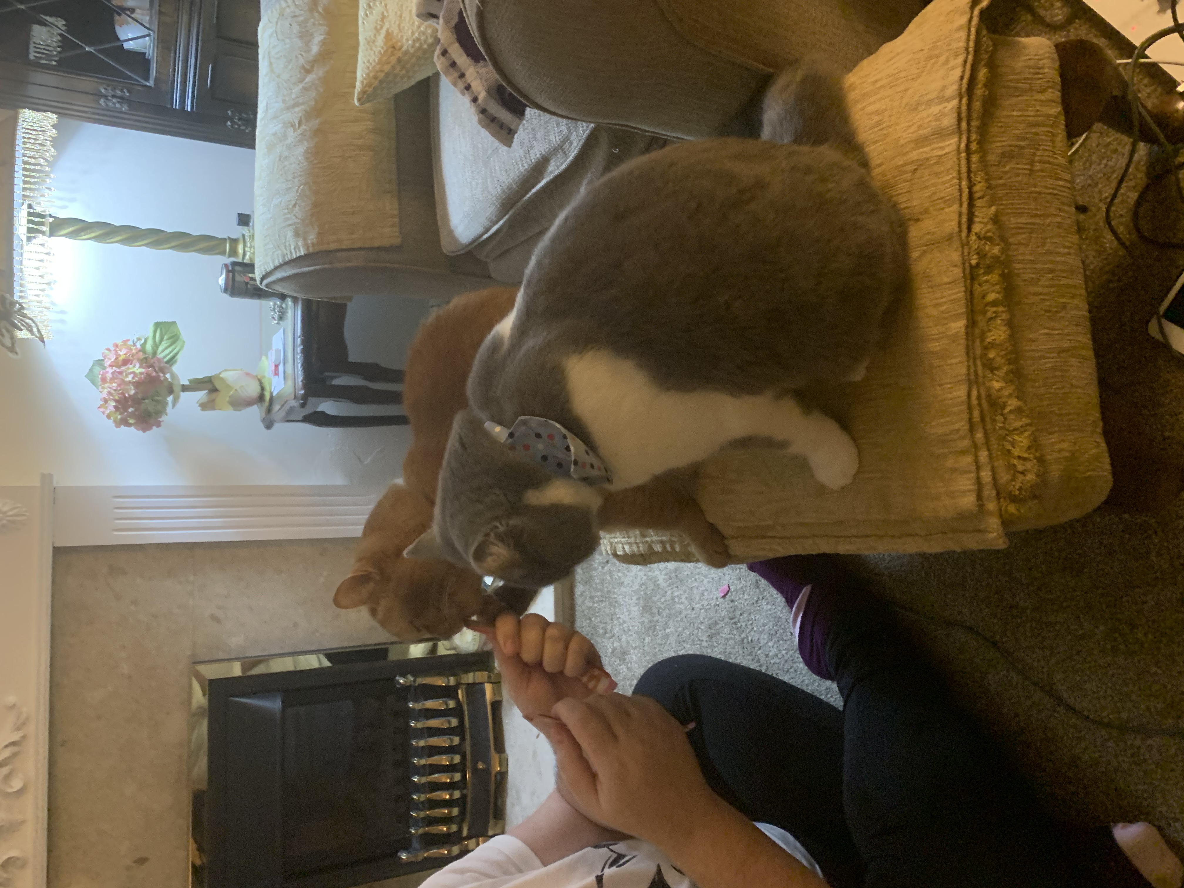 image-20
