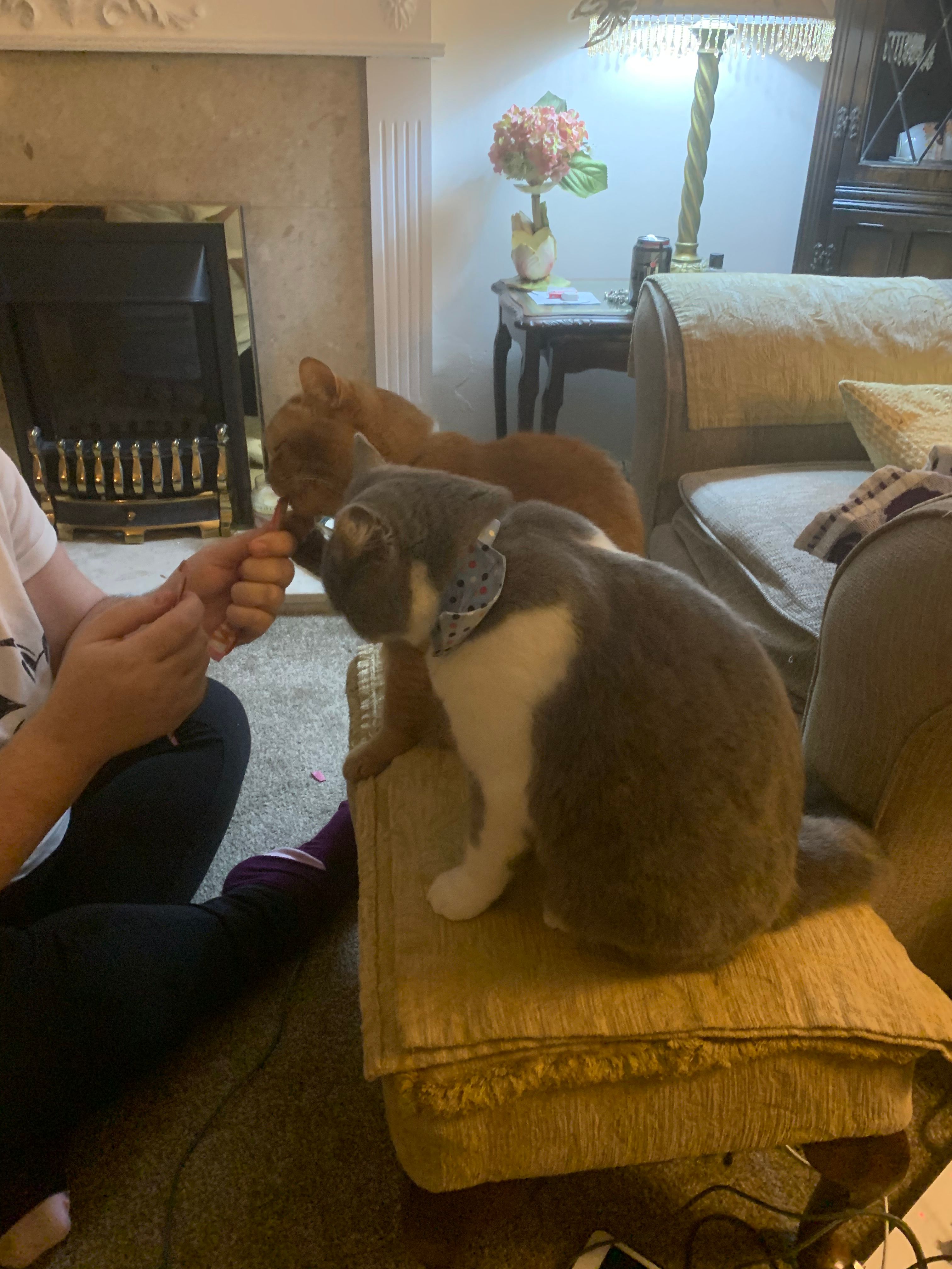 image-20