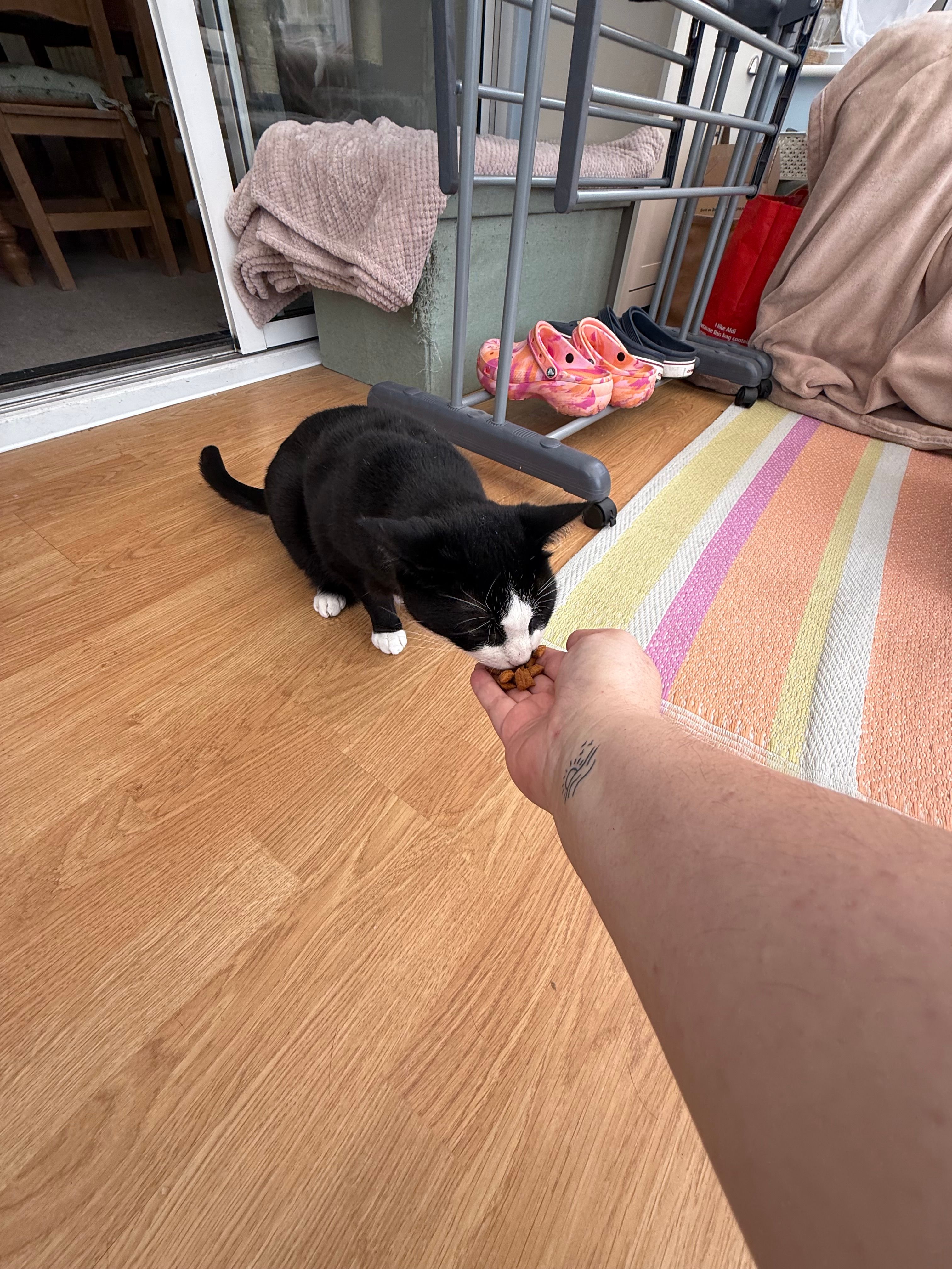 image-12