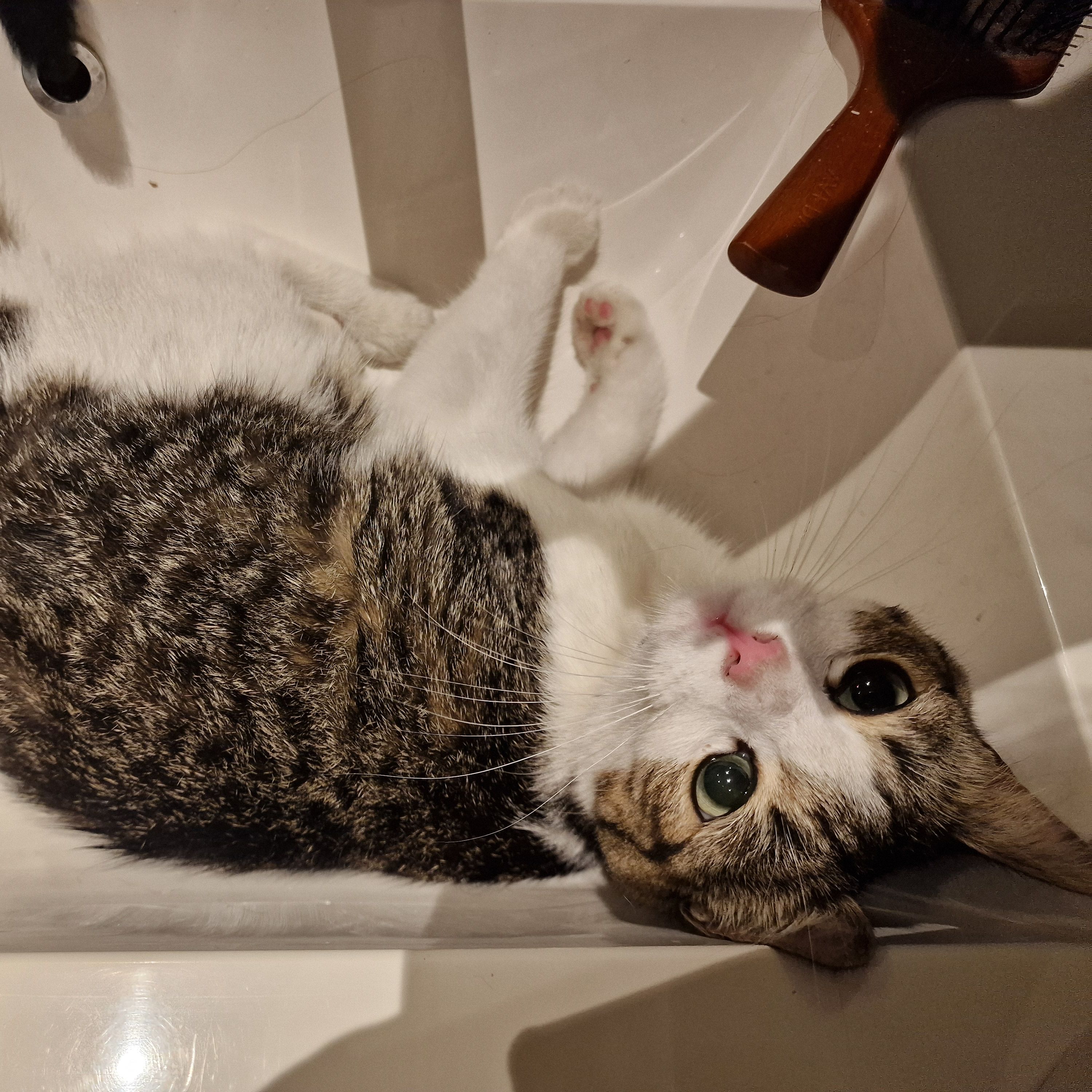 Lumi