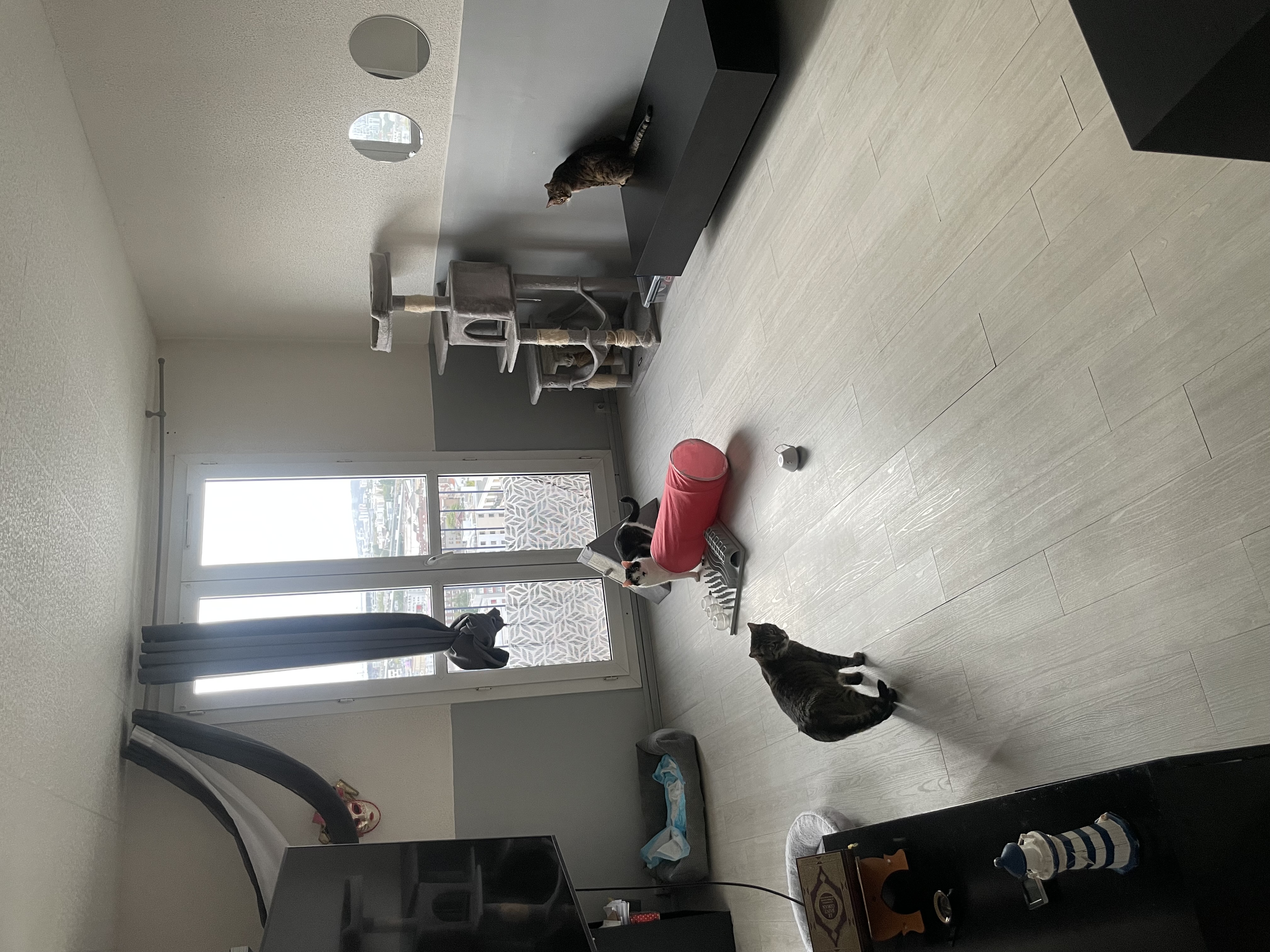 image-14