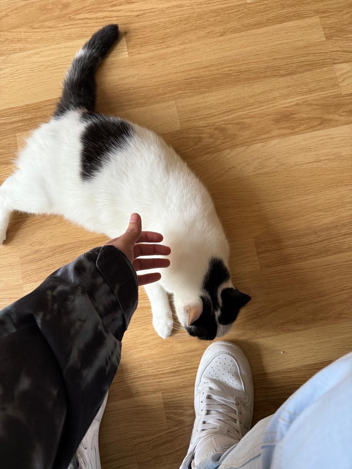 image-9