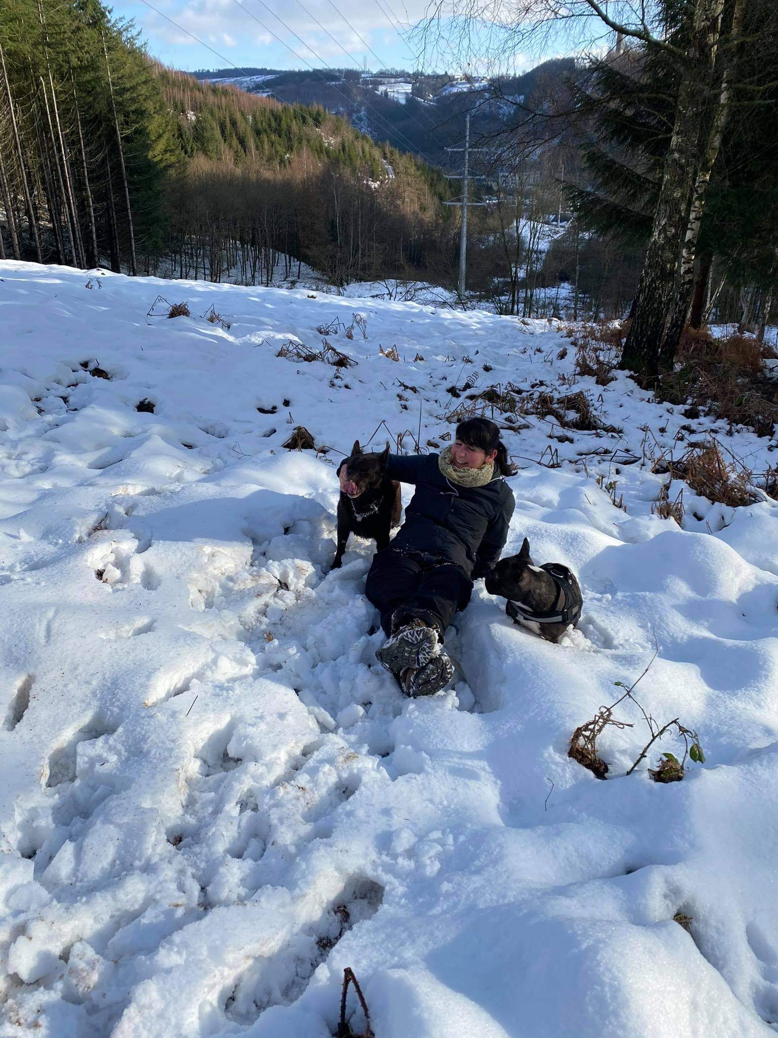 image-6