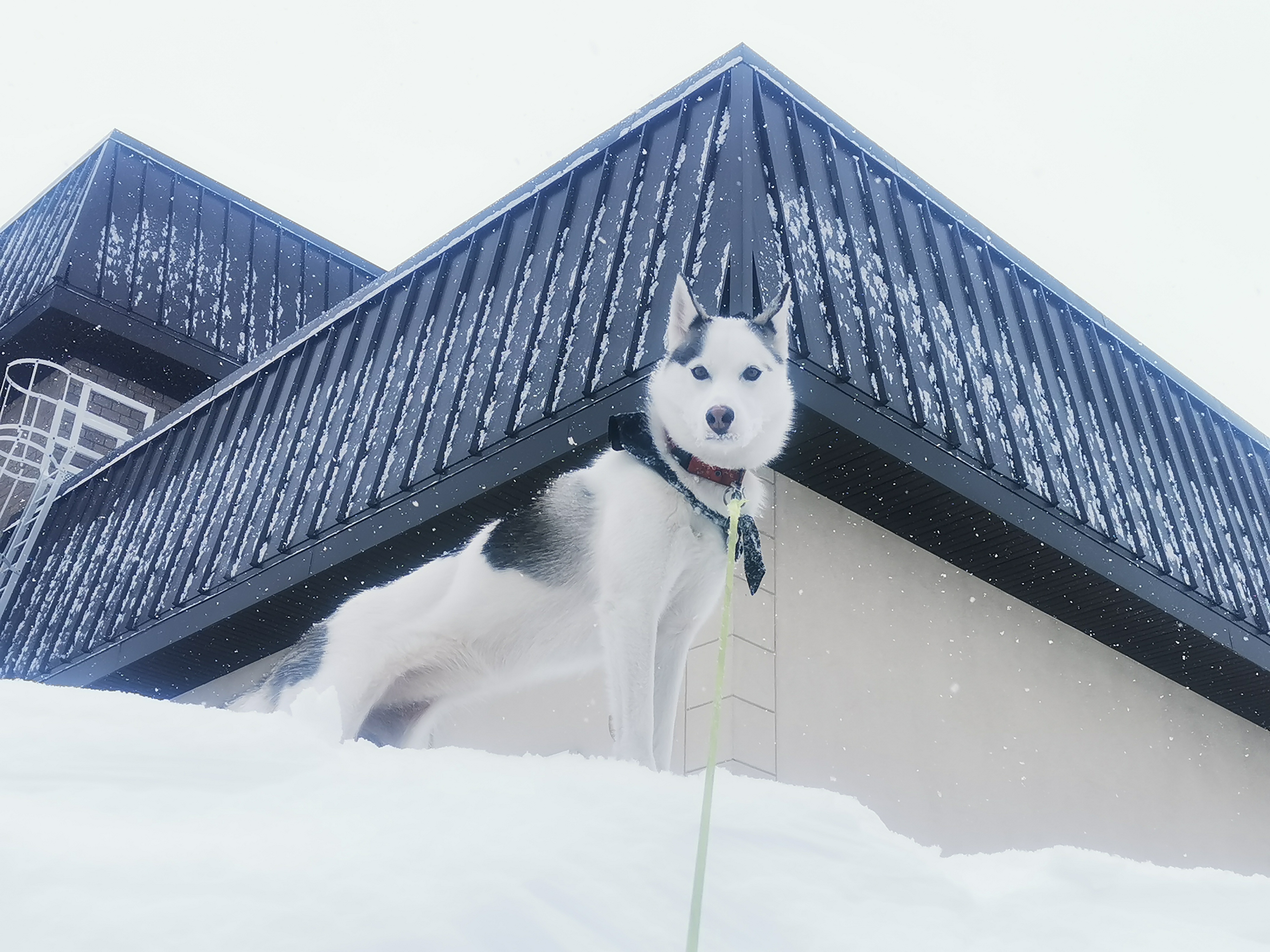 image-6