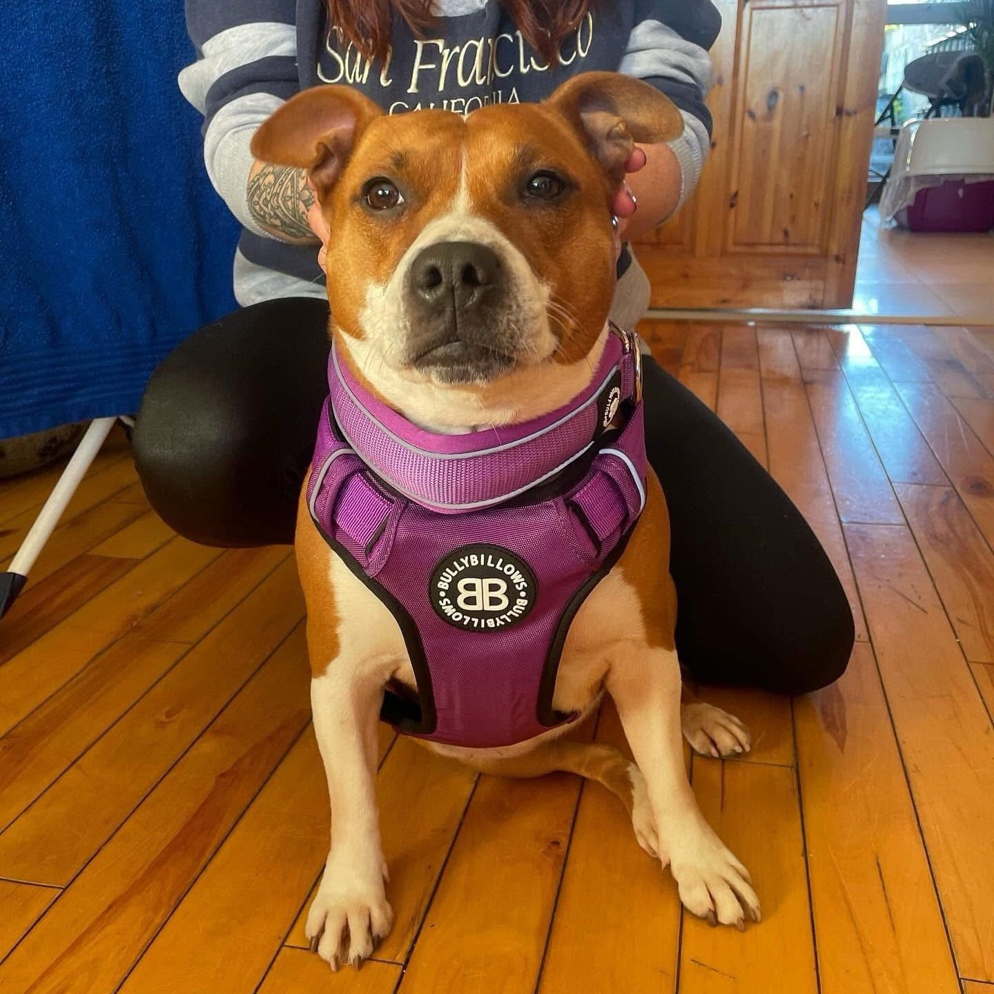 Nala