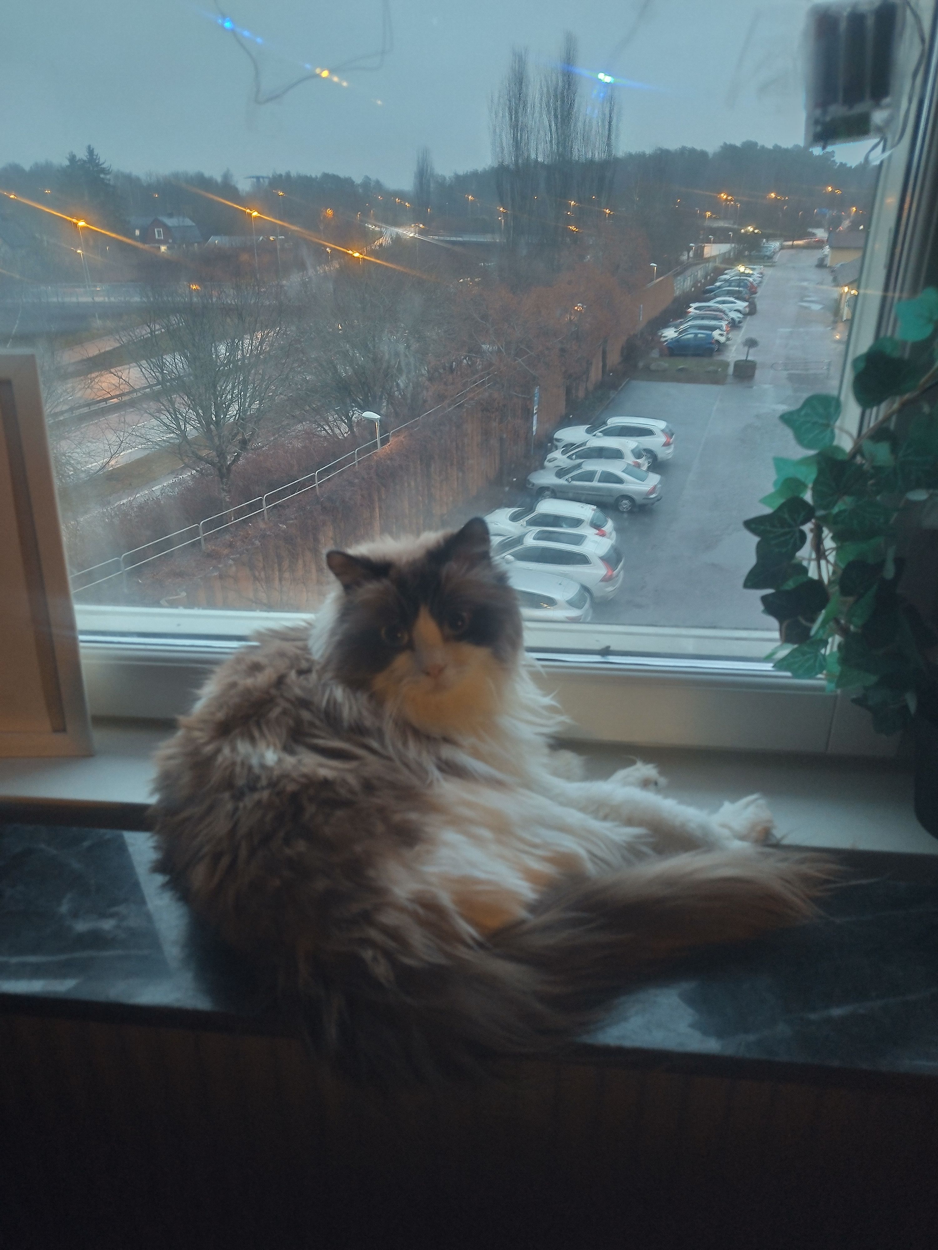 image-14