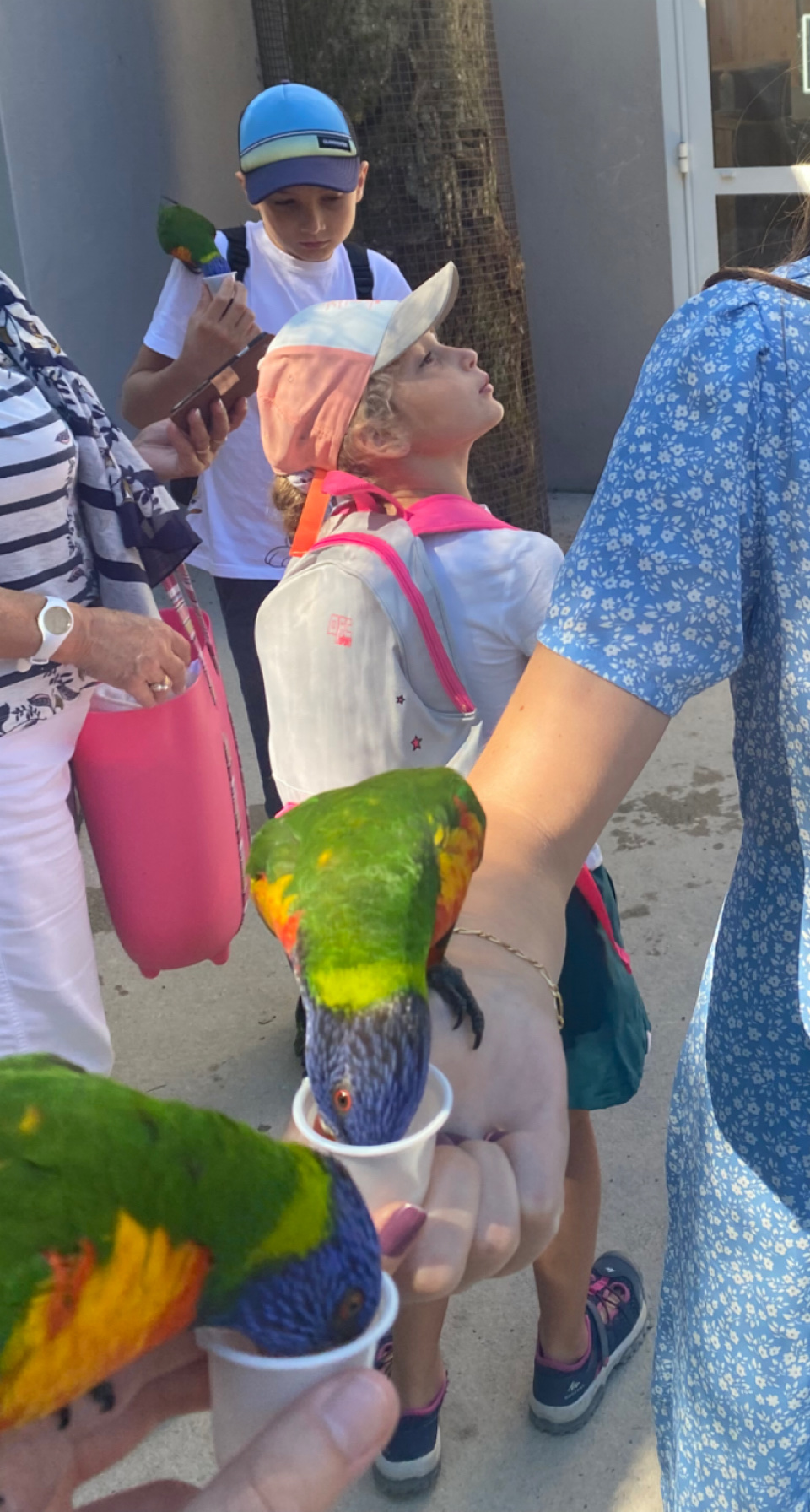 image-4
