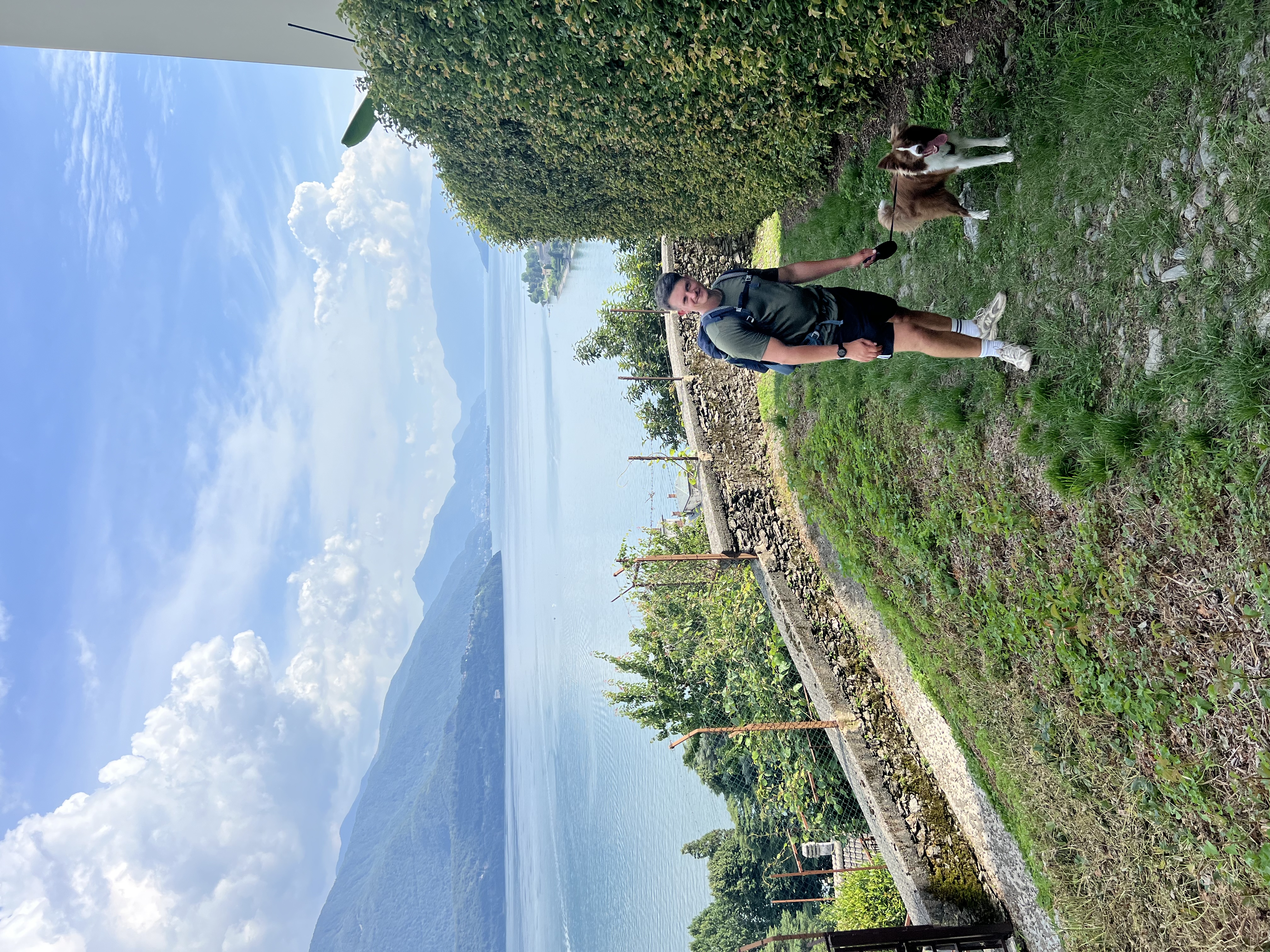 image-7