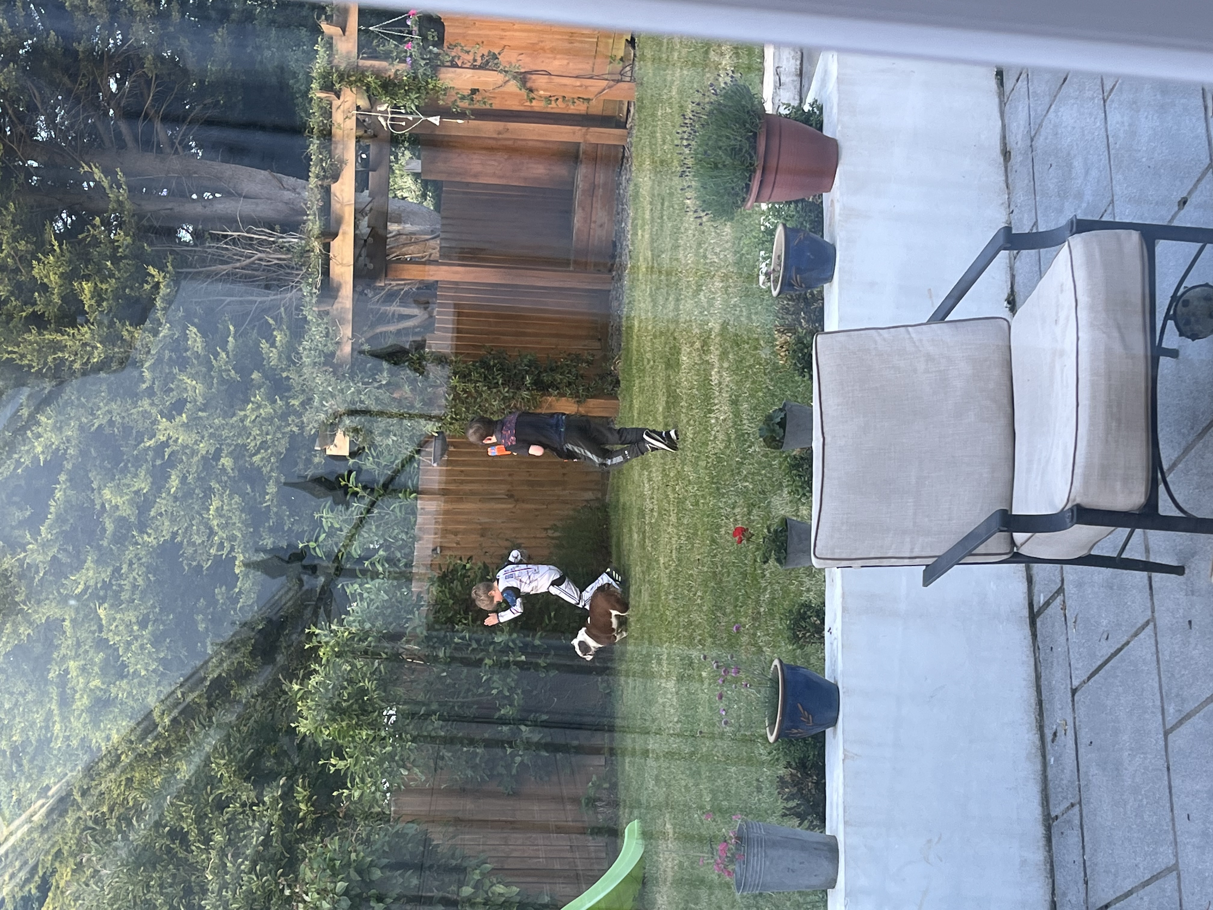 image-15