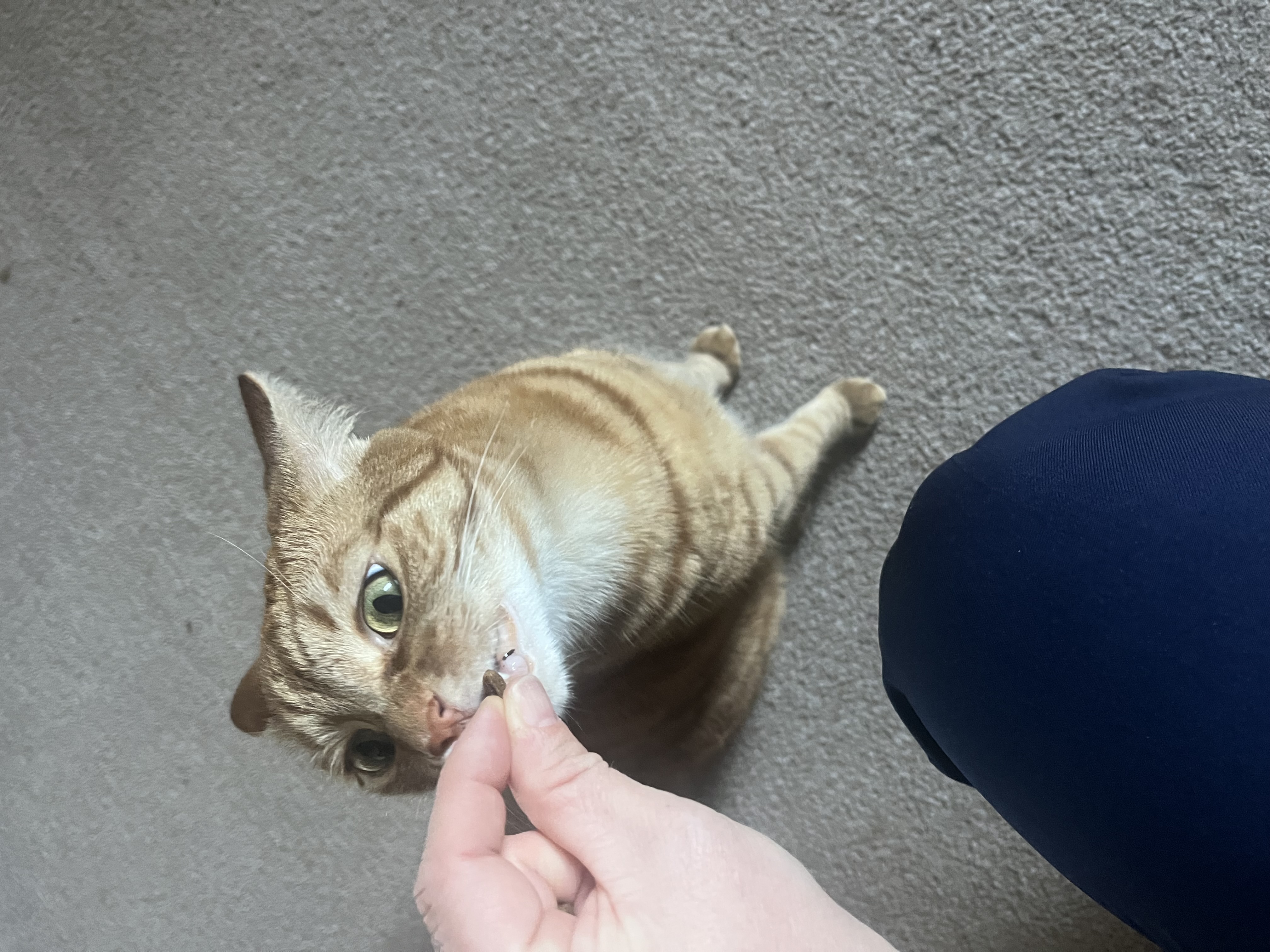 image-4
