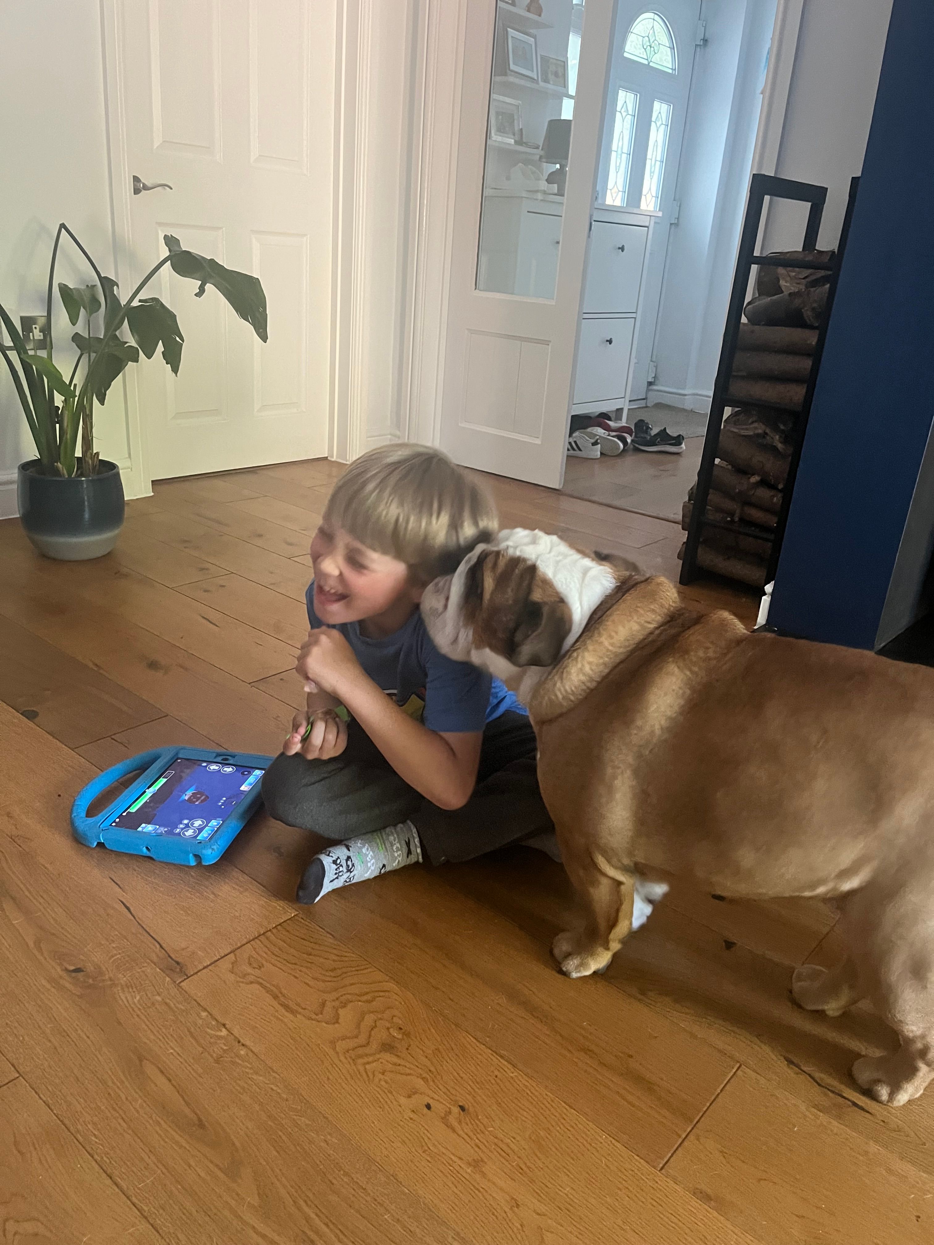 image-14