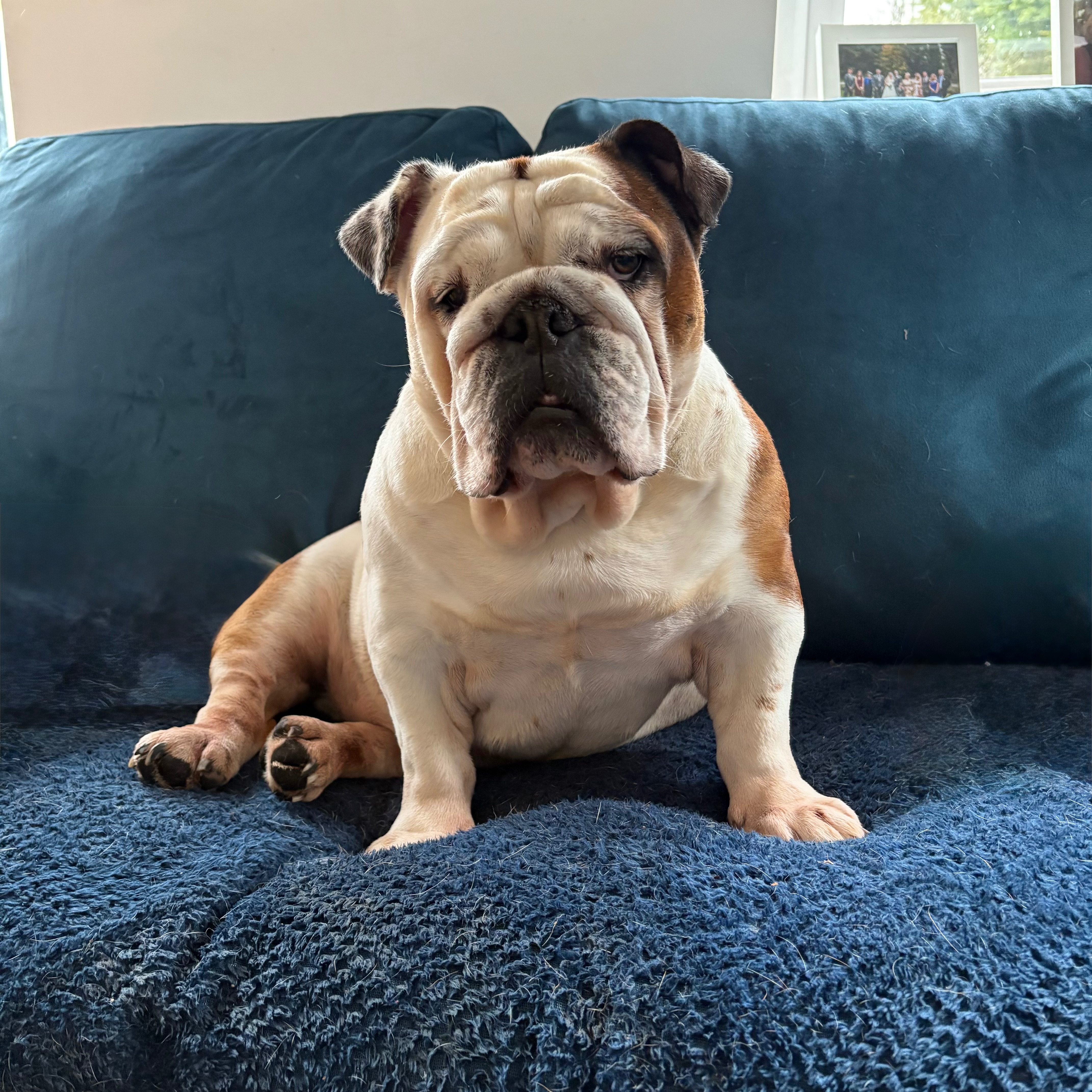 Nelly 