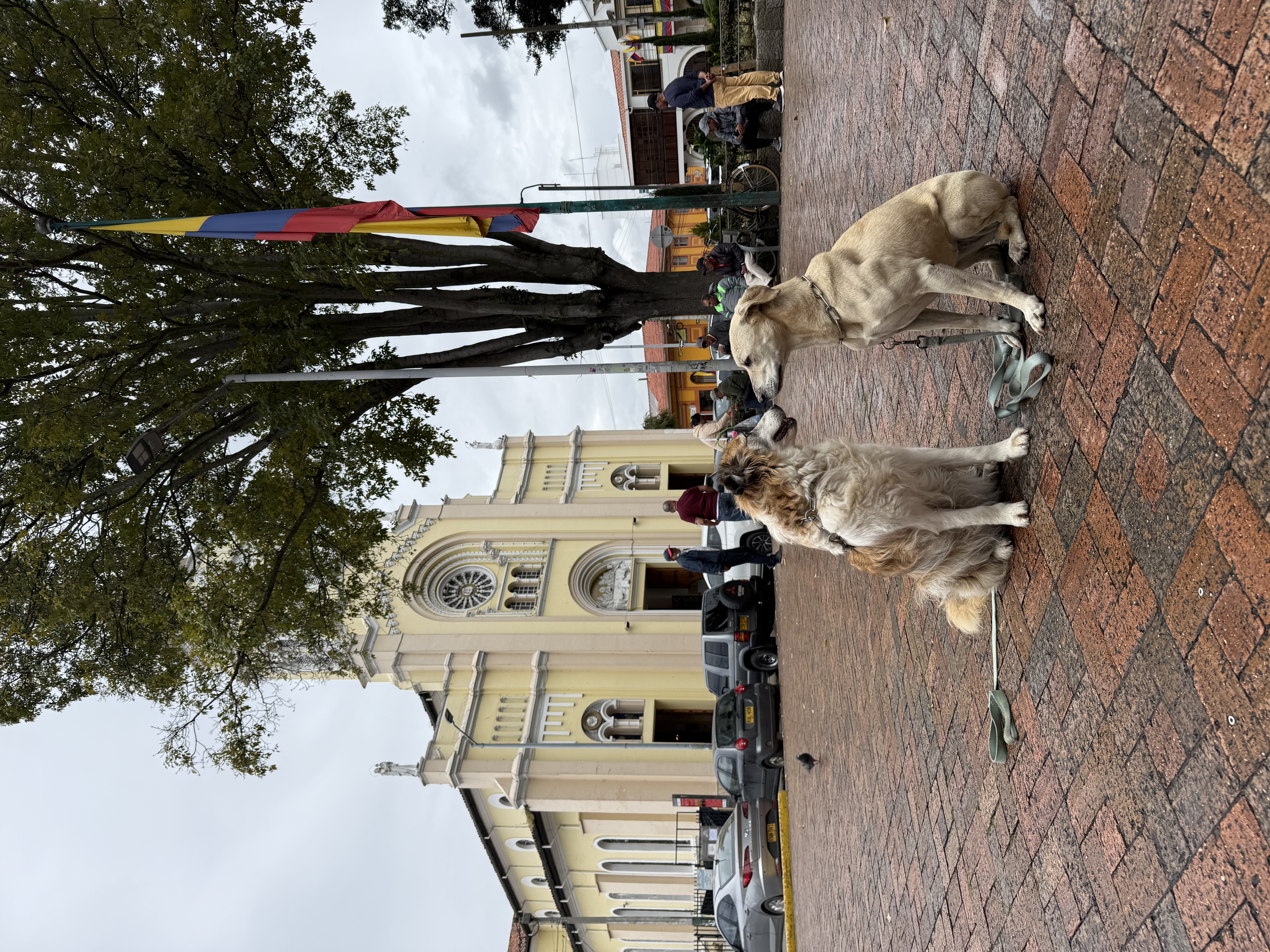 image-5