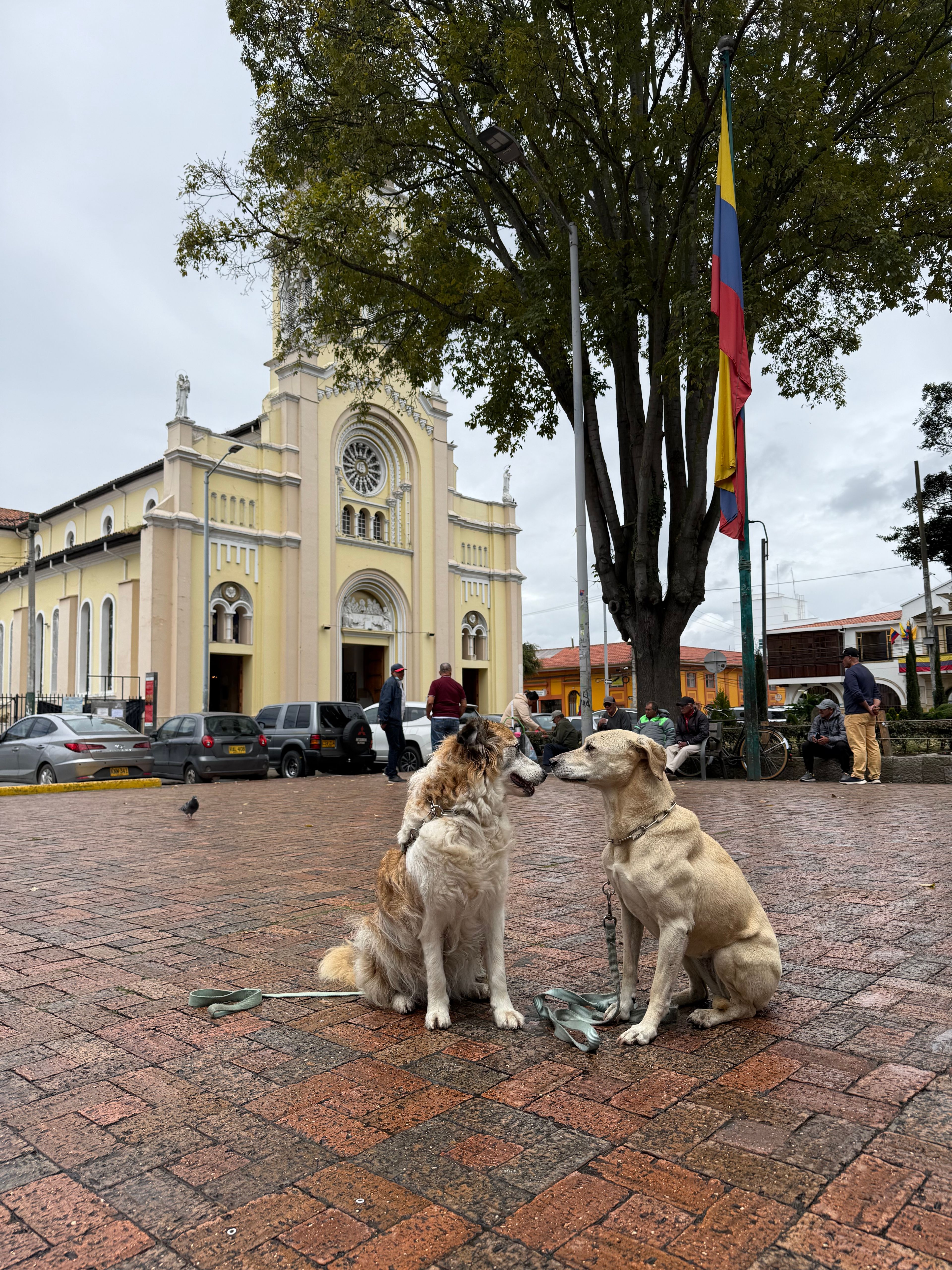 image-5