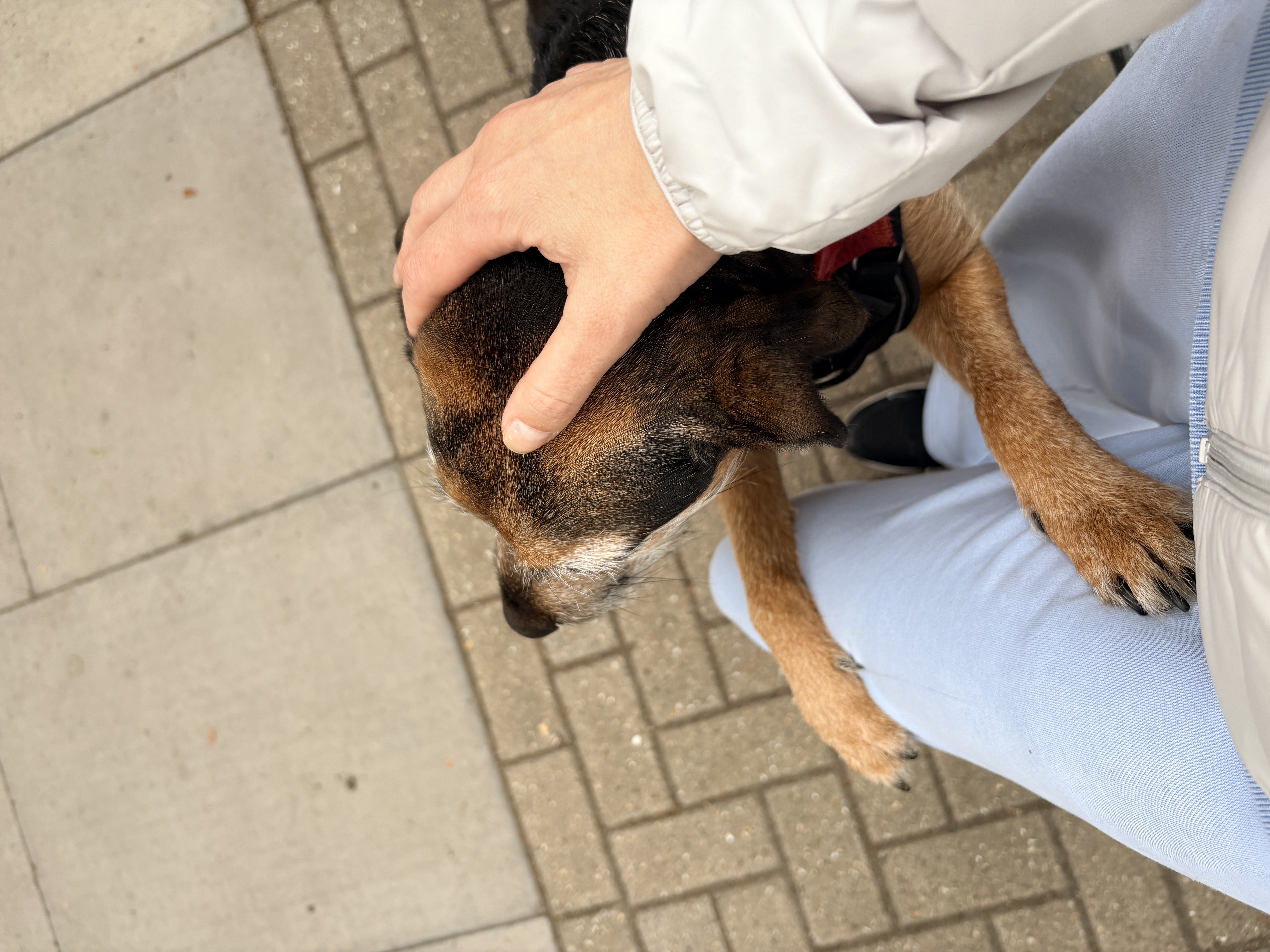 image-16