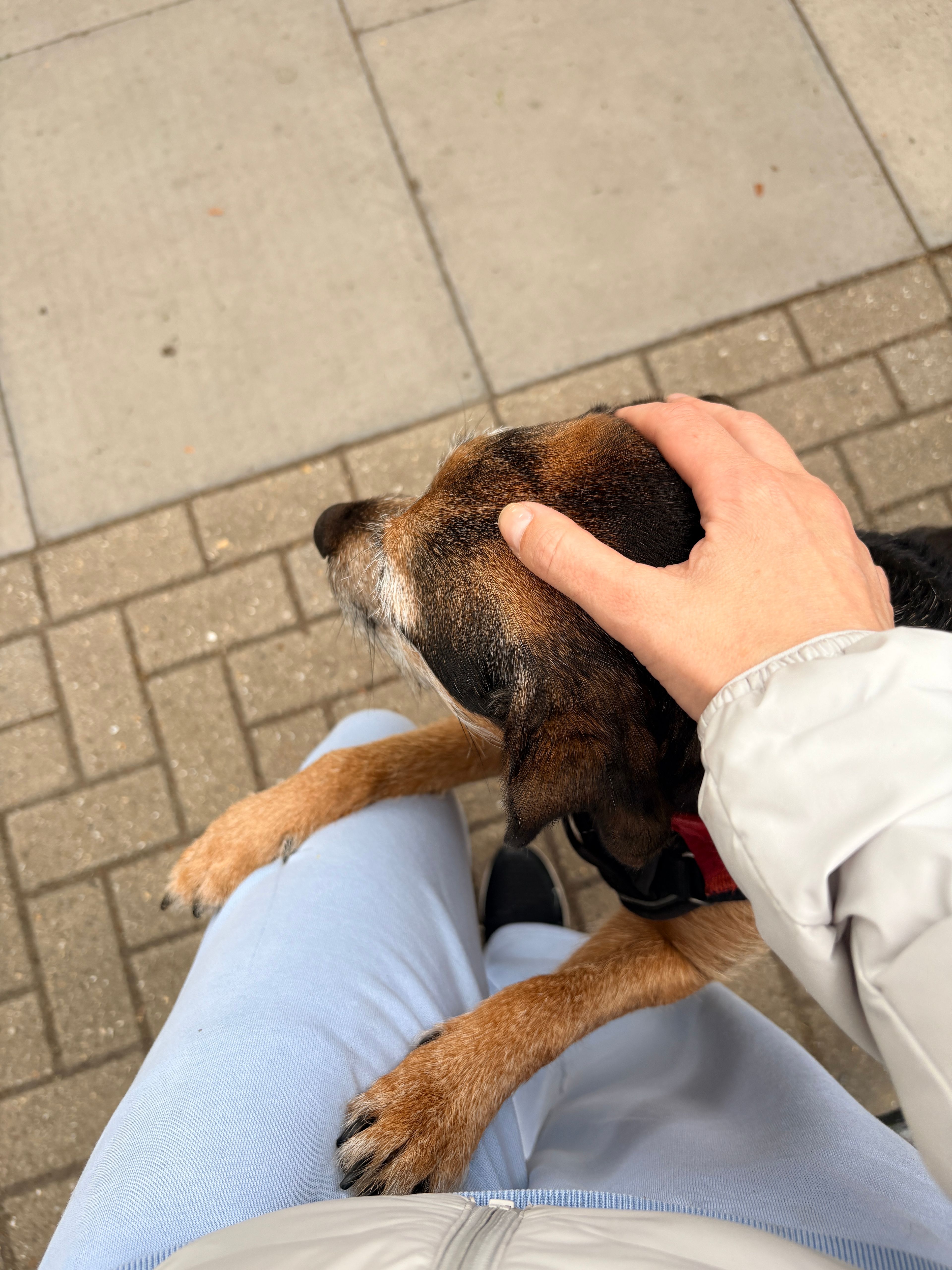 image-16
