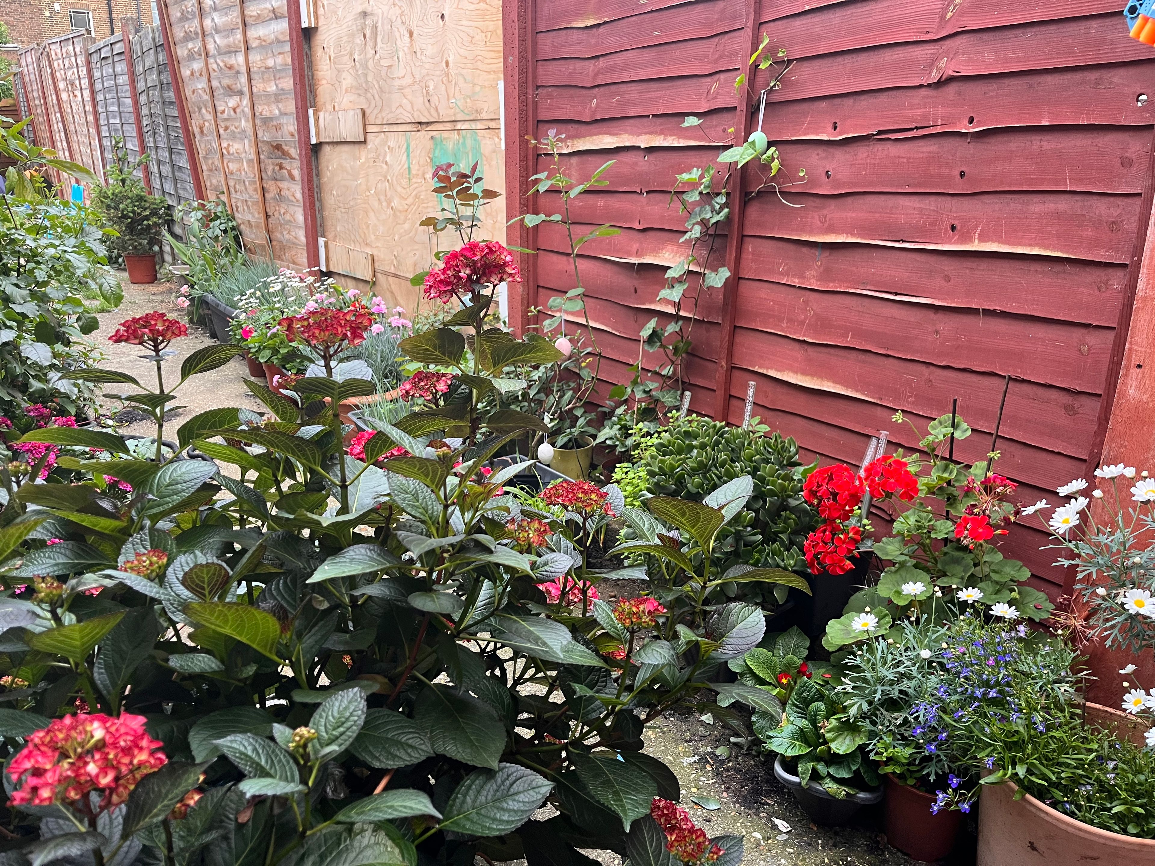 image-29