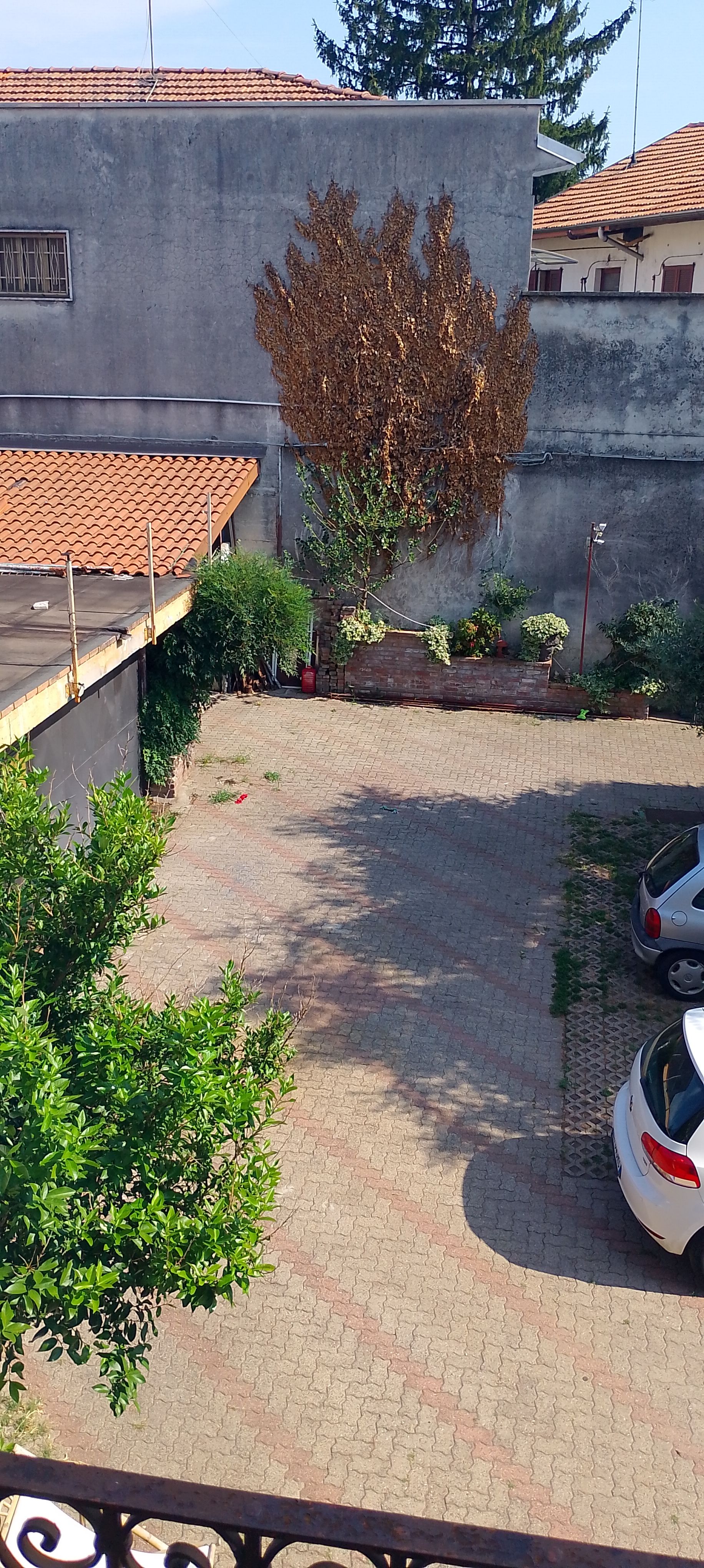 image-19