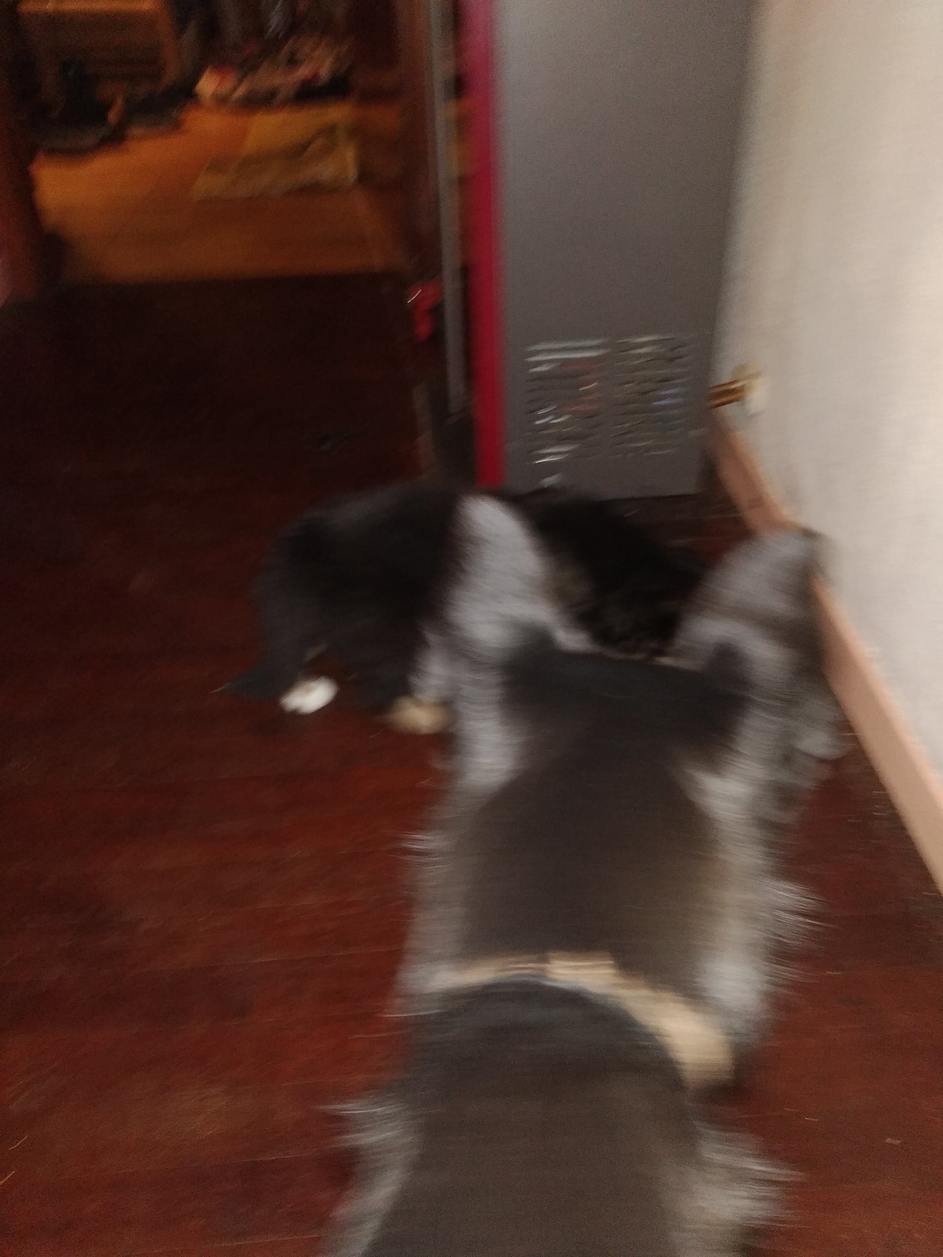 image-14