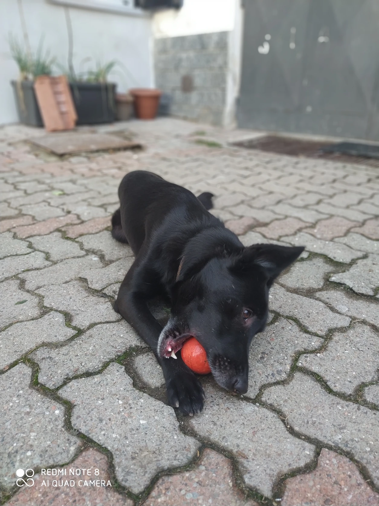 image-12