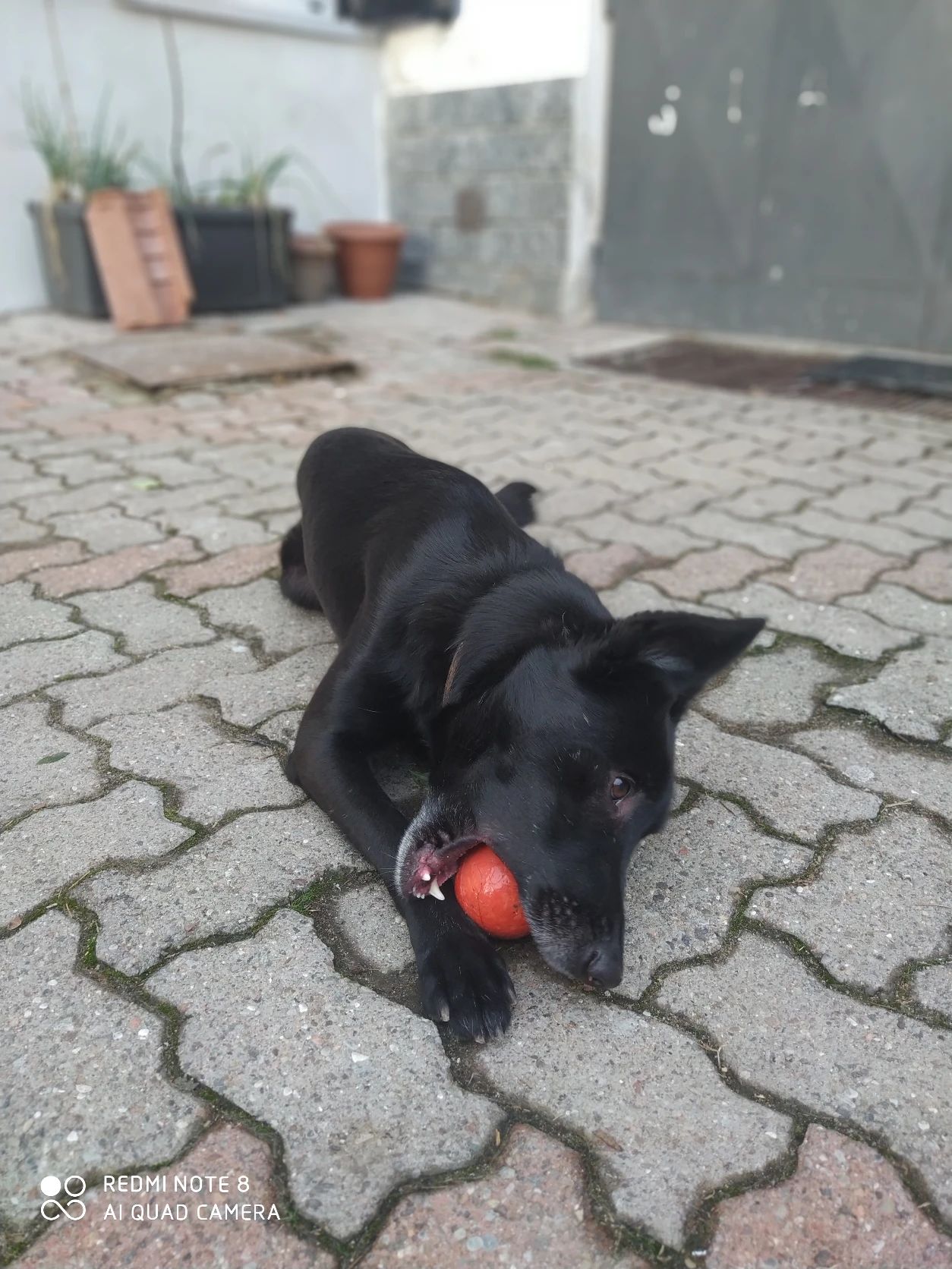 image-12